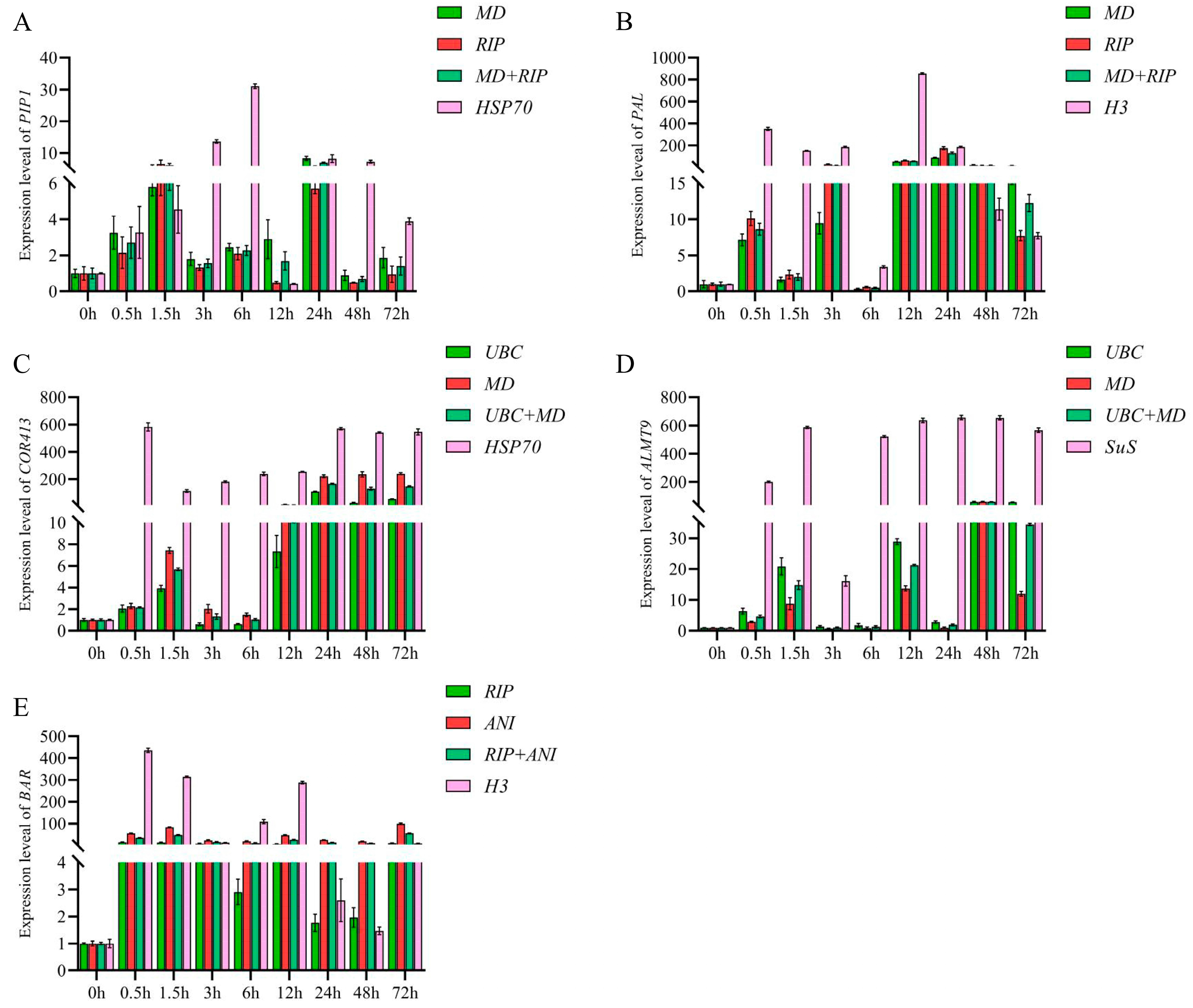 Genes 14 01874 g004