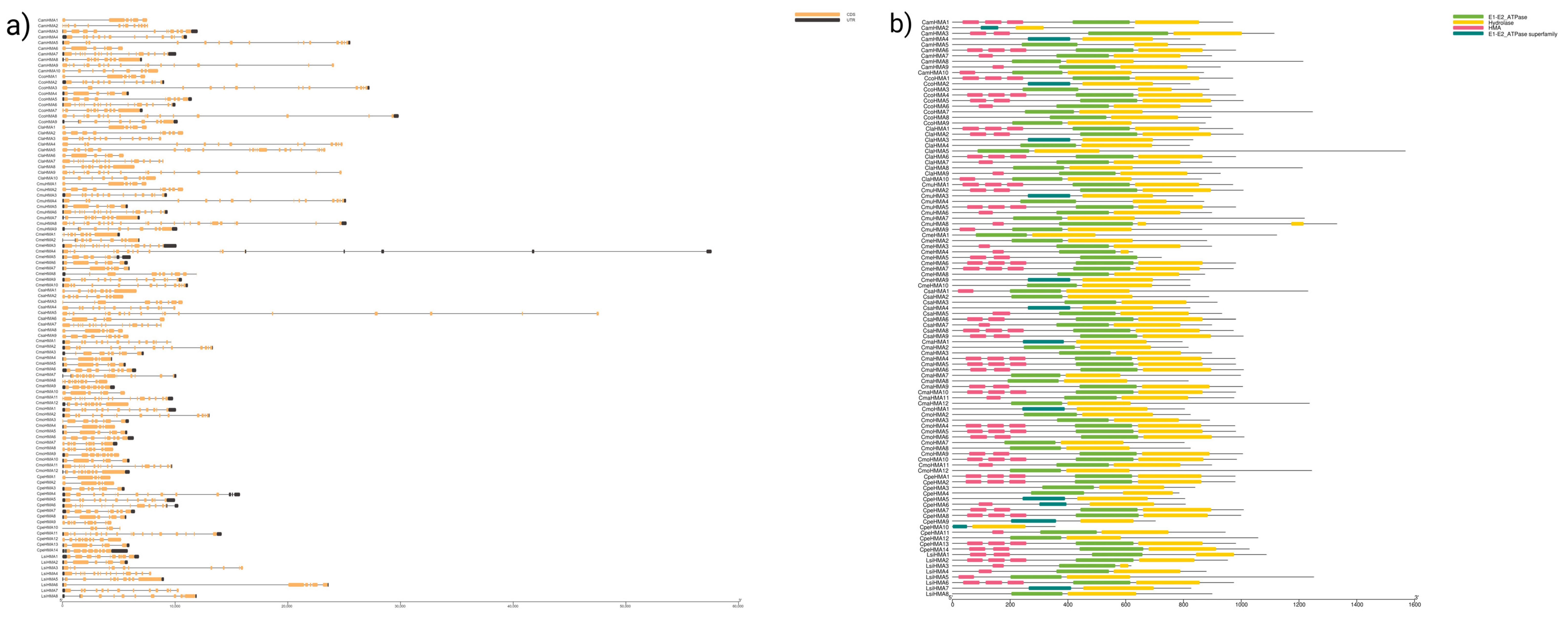 Genes 14 01877 g002 Genes 14 01877 g002