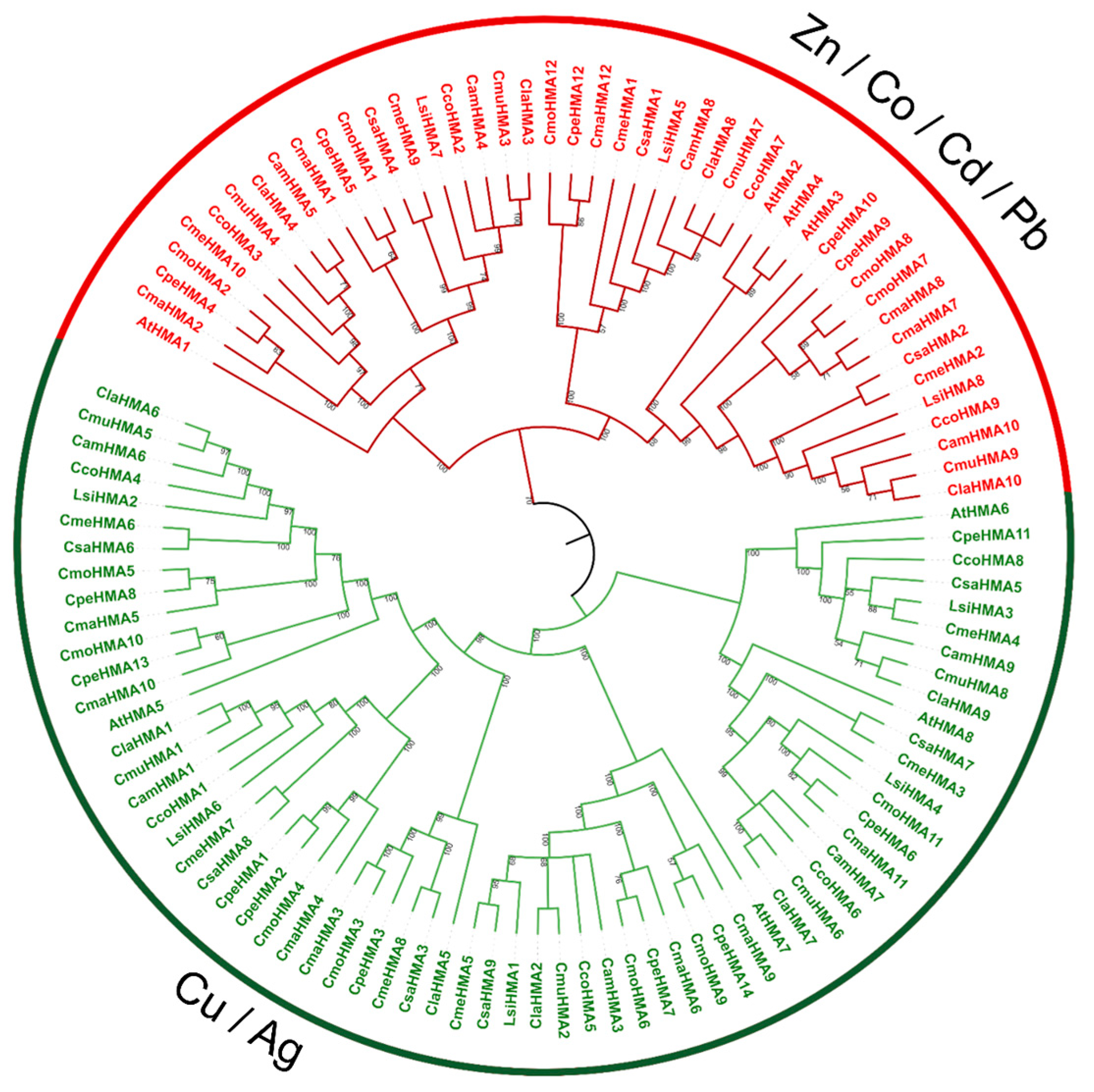 Genes 14 01877 g003 Genes 14 01877 g003