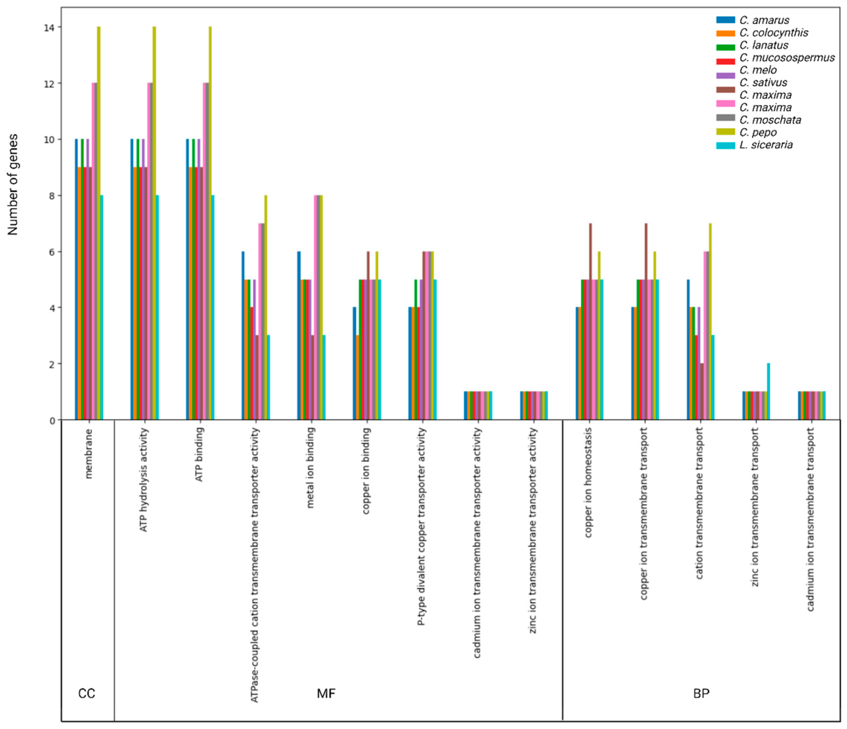 Genes 14 01877 g006 Genes 14 01877 g006