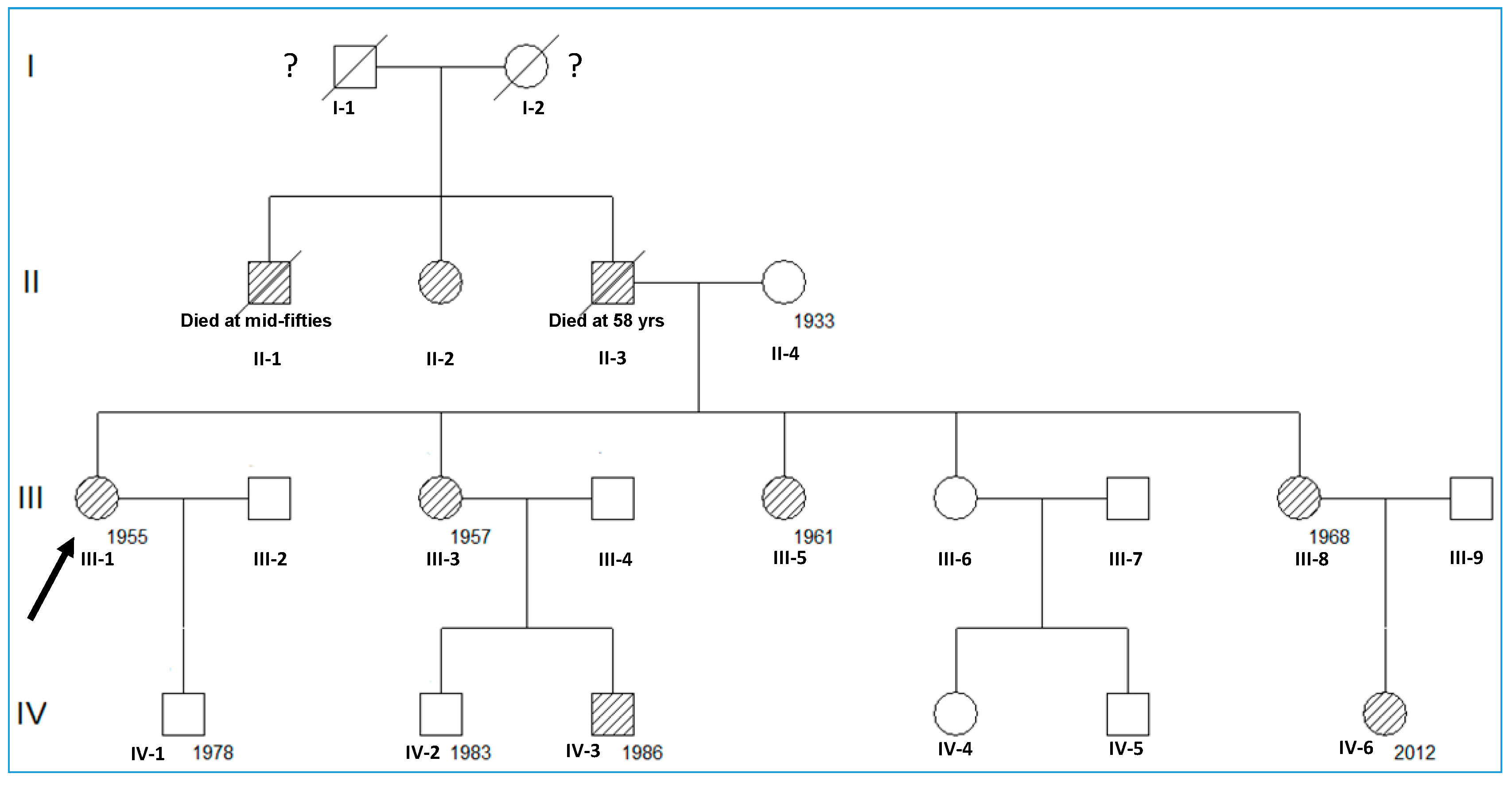 Genes 14 01878 g001