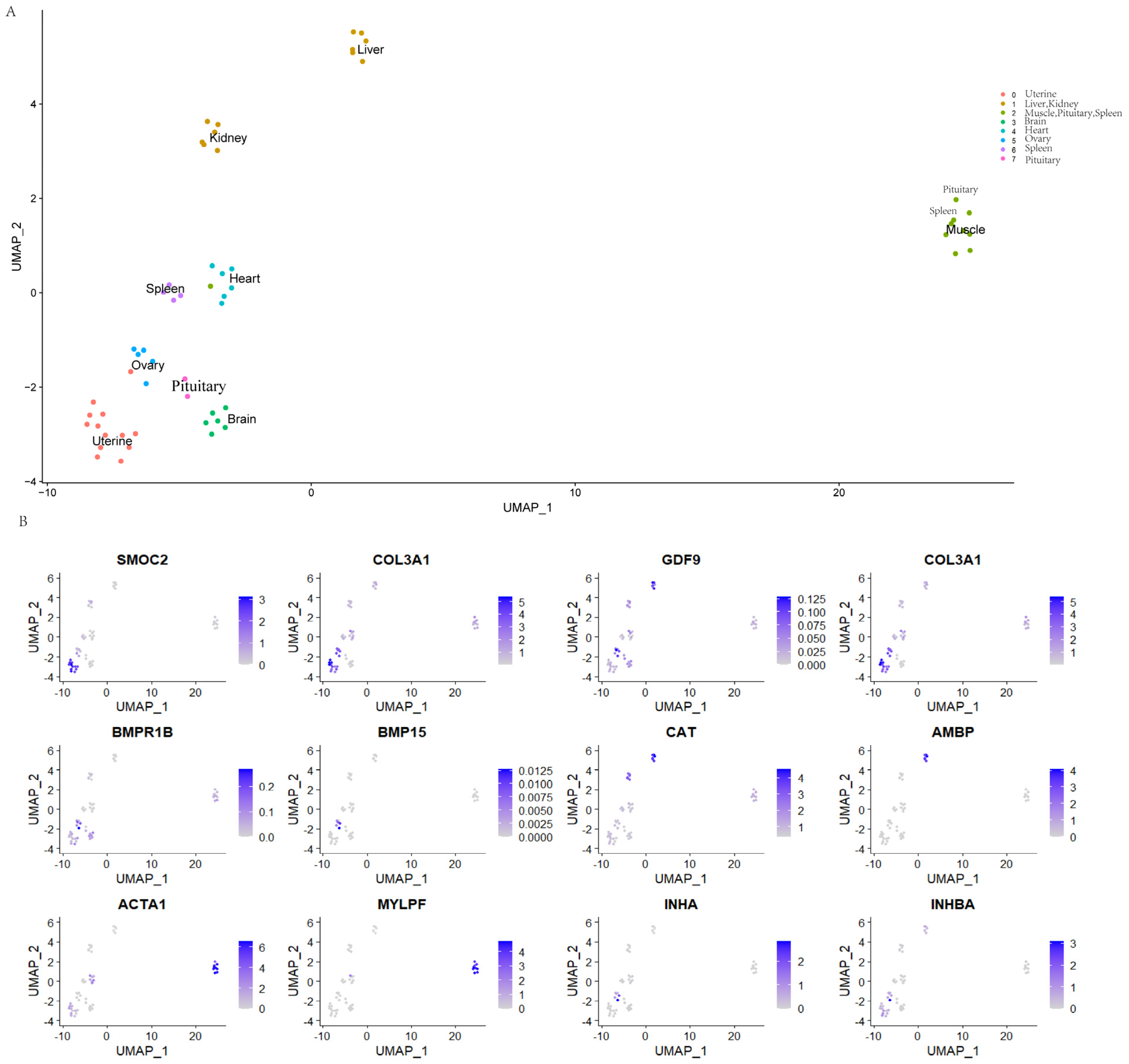 Genes 14 01881 g004 Genes 14 01881 g004