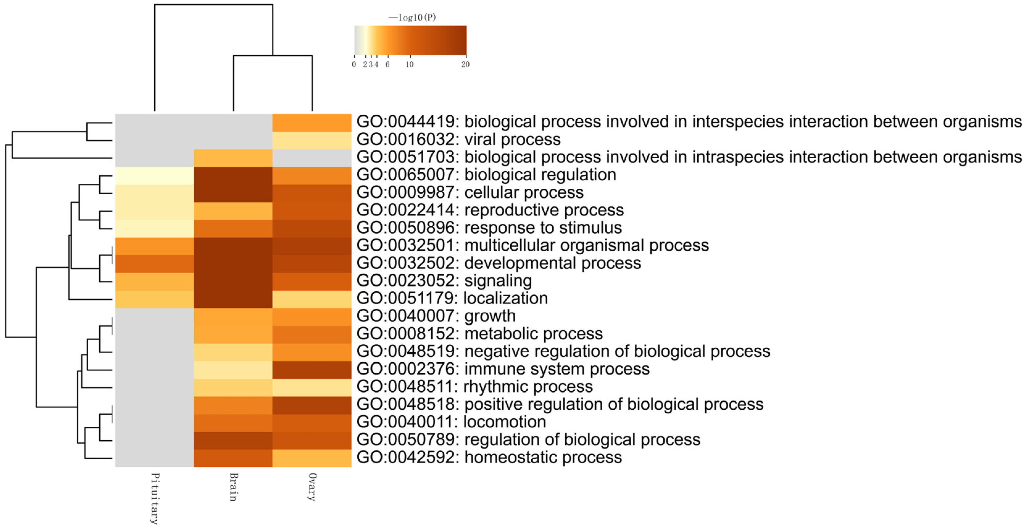 Genes 14 01881 g008 Genes 14 01881 g008