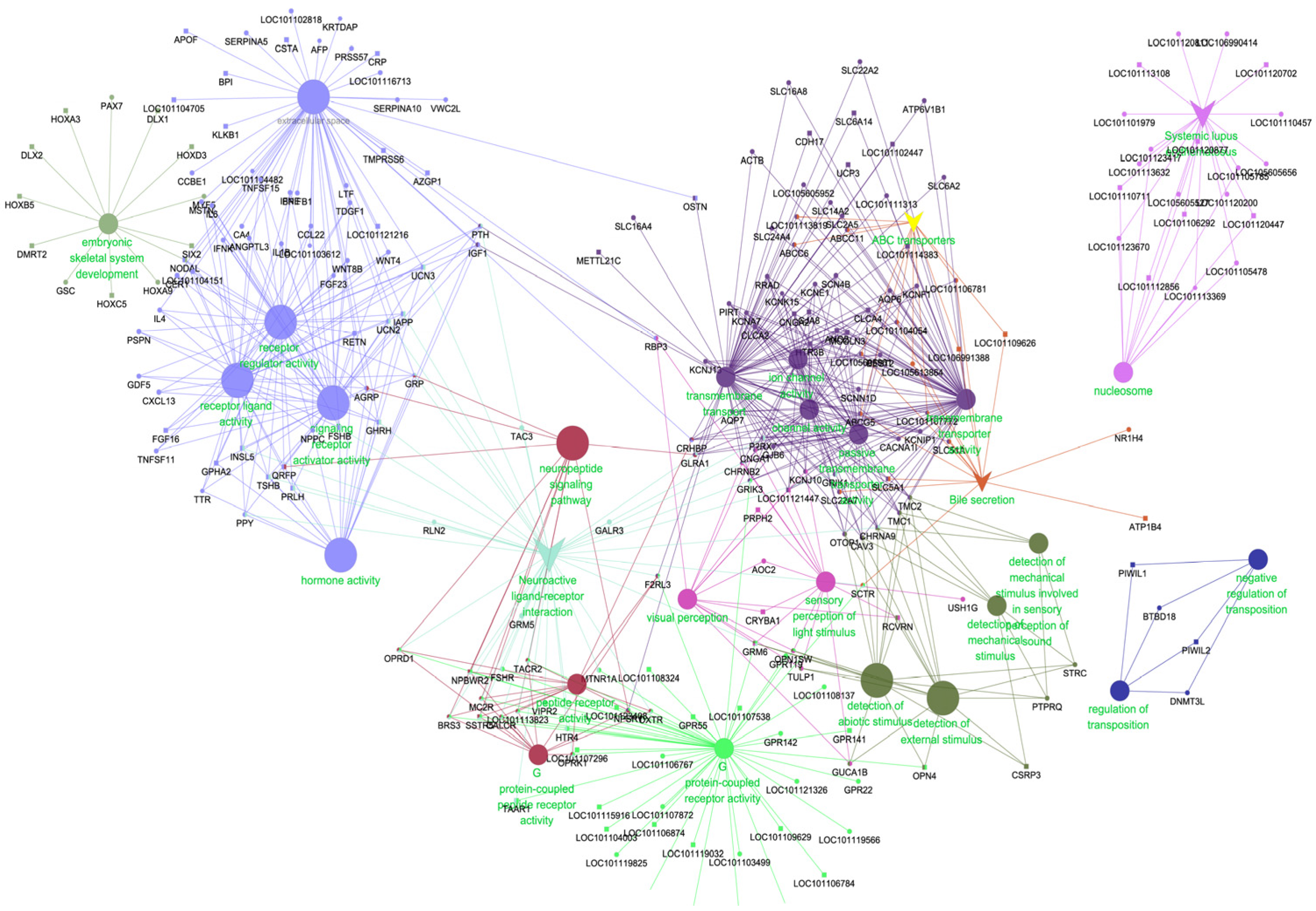 Genes 14 01881 g010 Genes 14 01881 g010