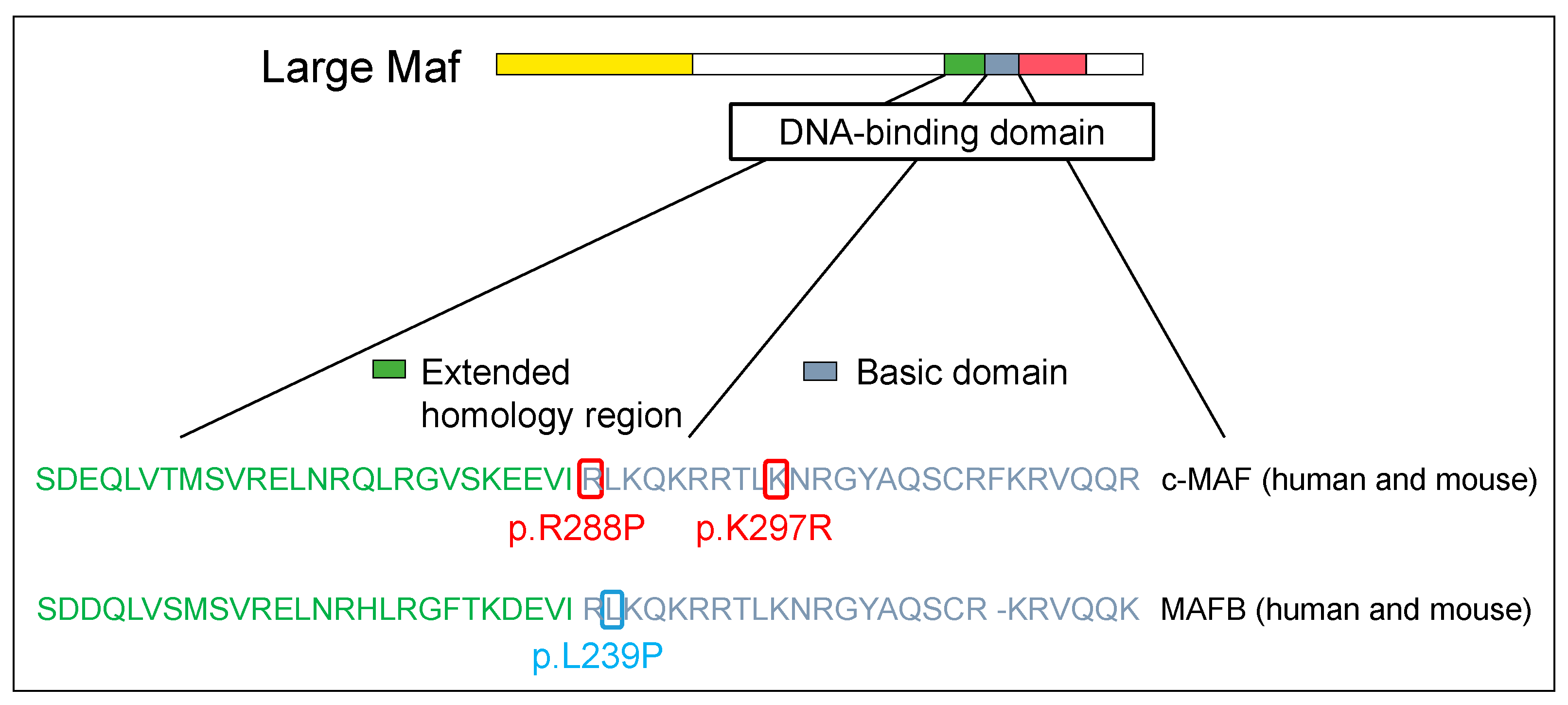 Genes 14 01883 g002 Genes 14 01883 g002