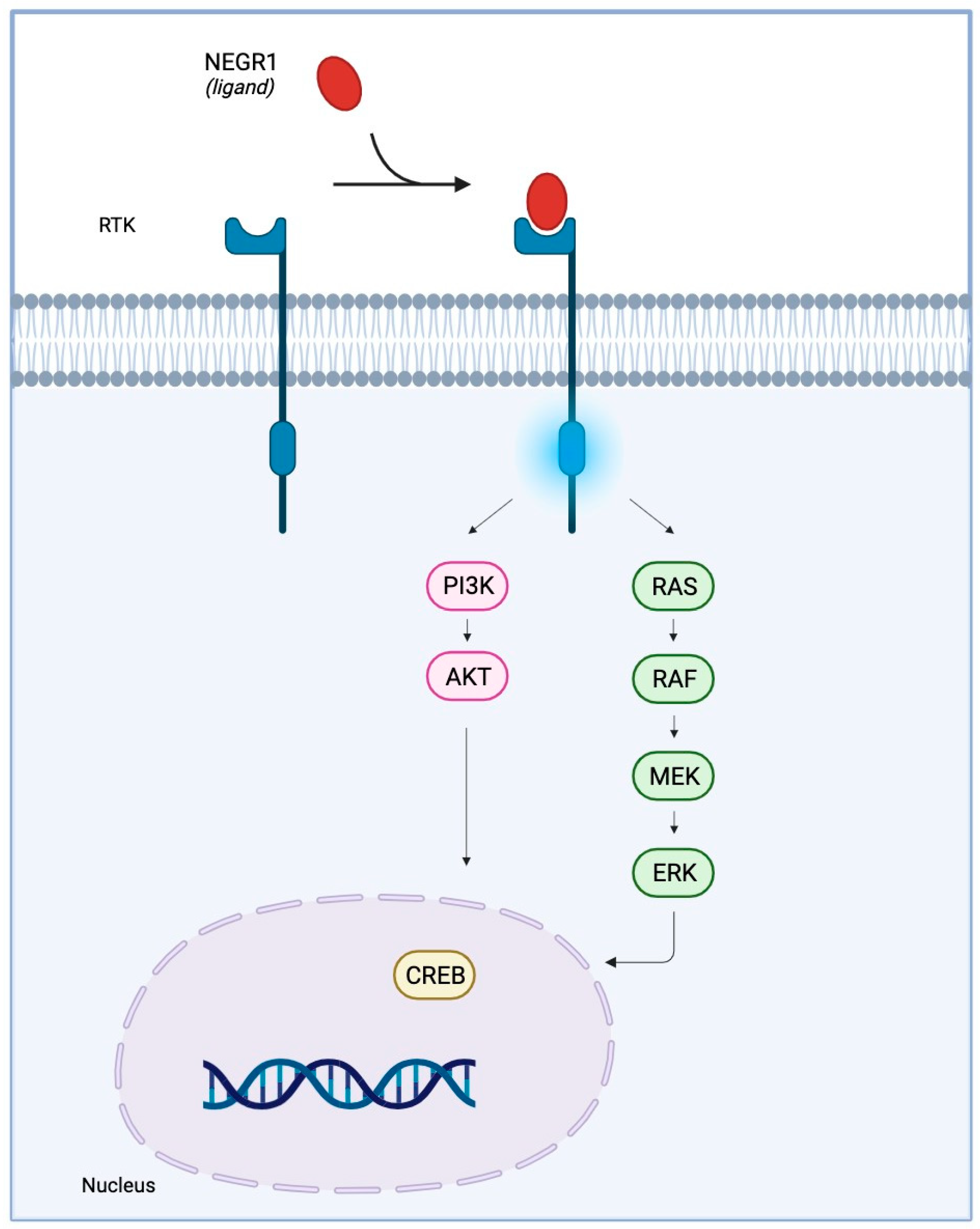 Genes 14 01886 g005 Genes 14 01886 g005