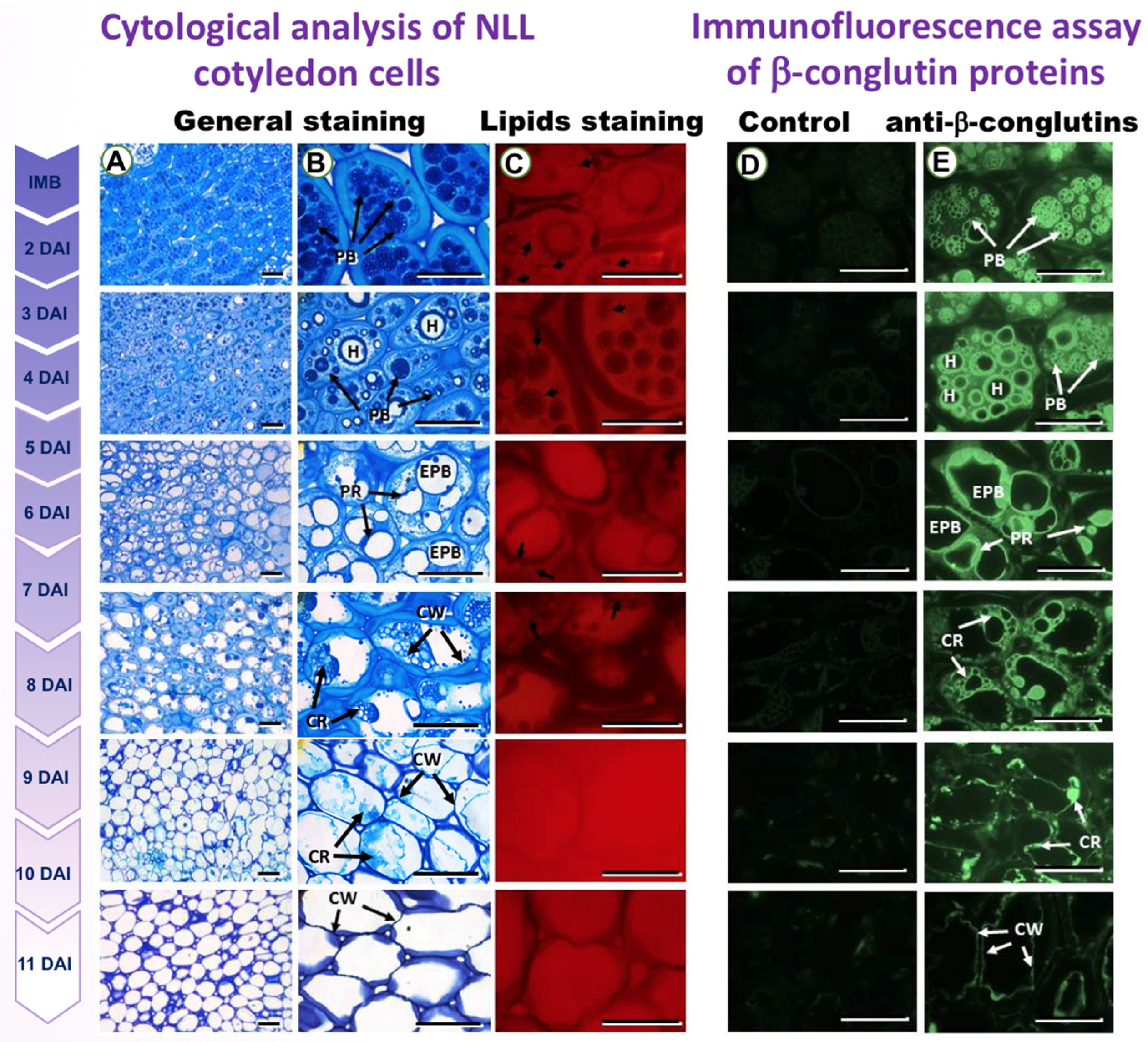 Genes 14 01889 g001 Genes 14 01889 g001