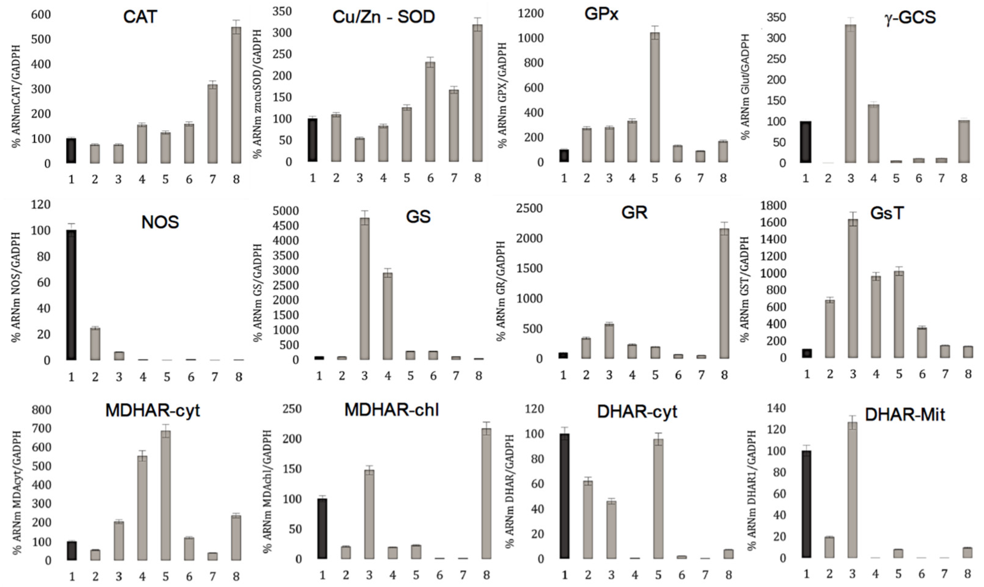 Genes 14 01889 g004 Genes 14 01889 g004