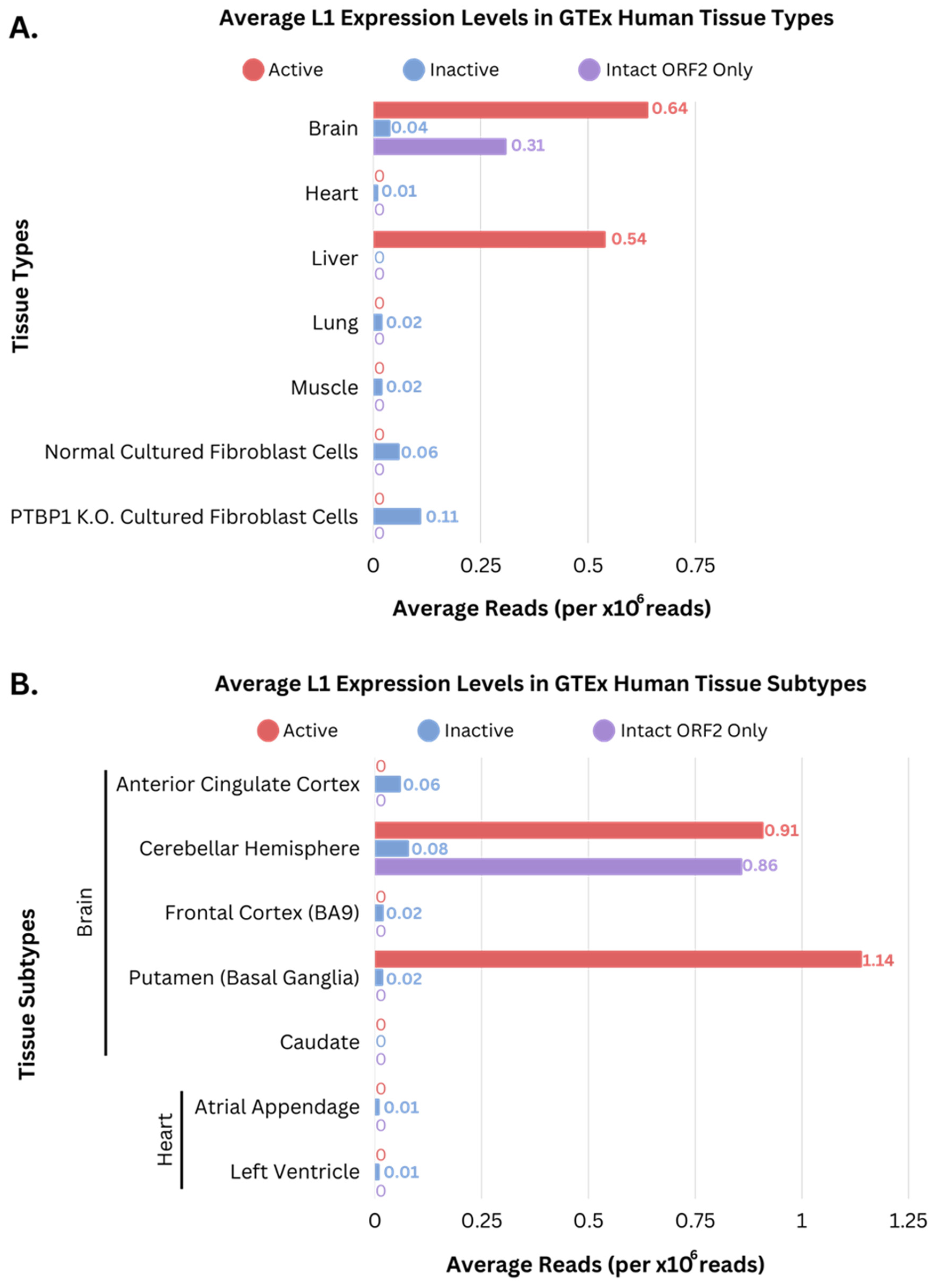 Genes 14 01893 g003
