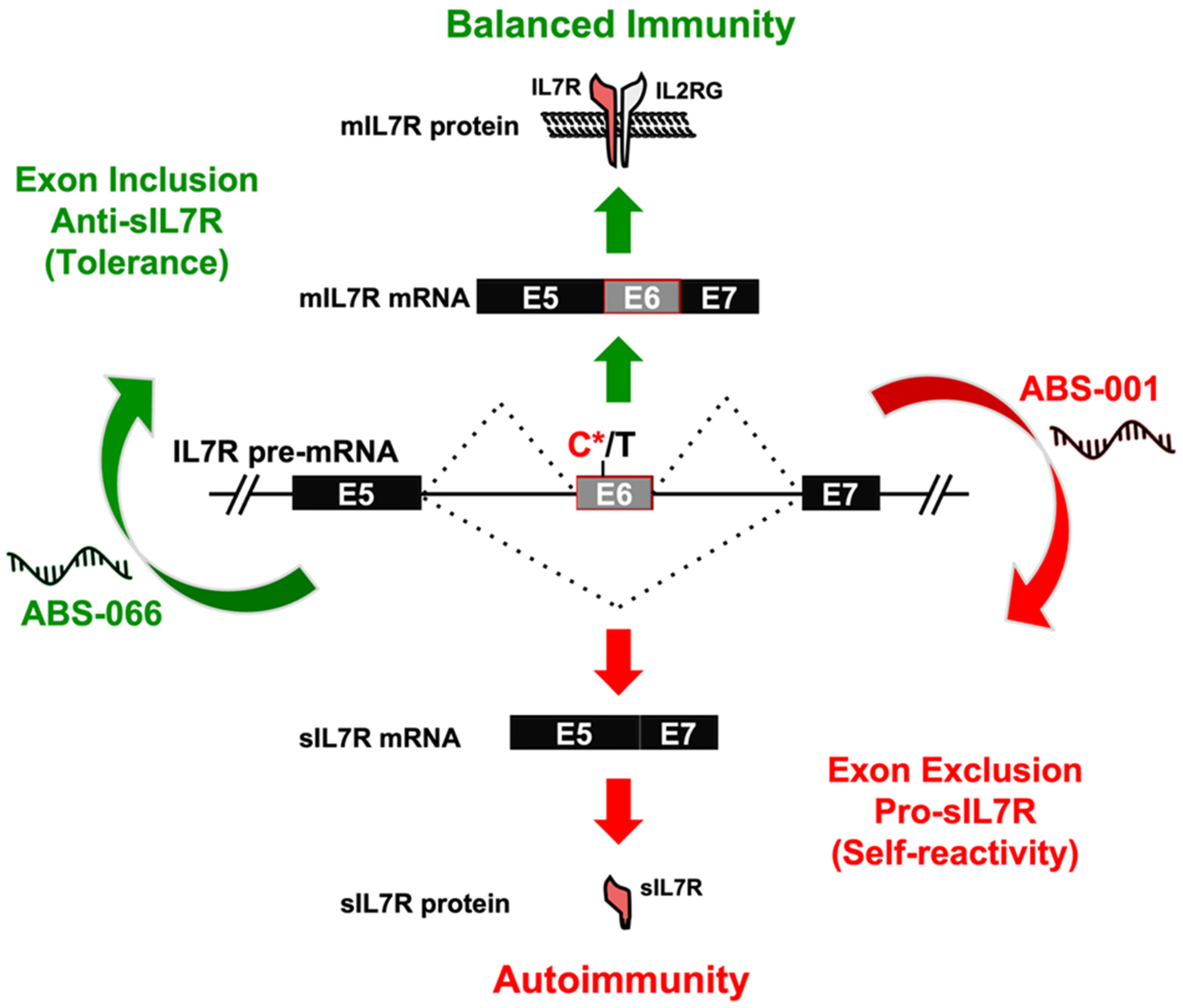 Genes 14 01896 g002 Genes 14 01896 g002