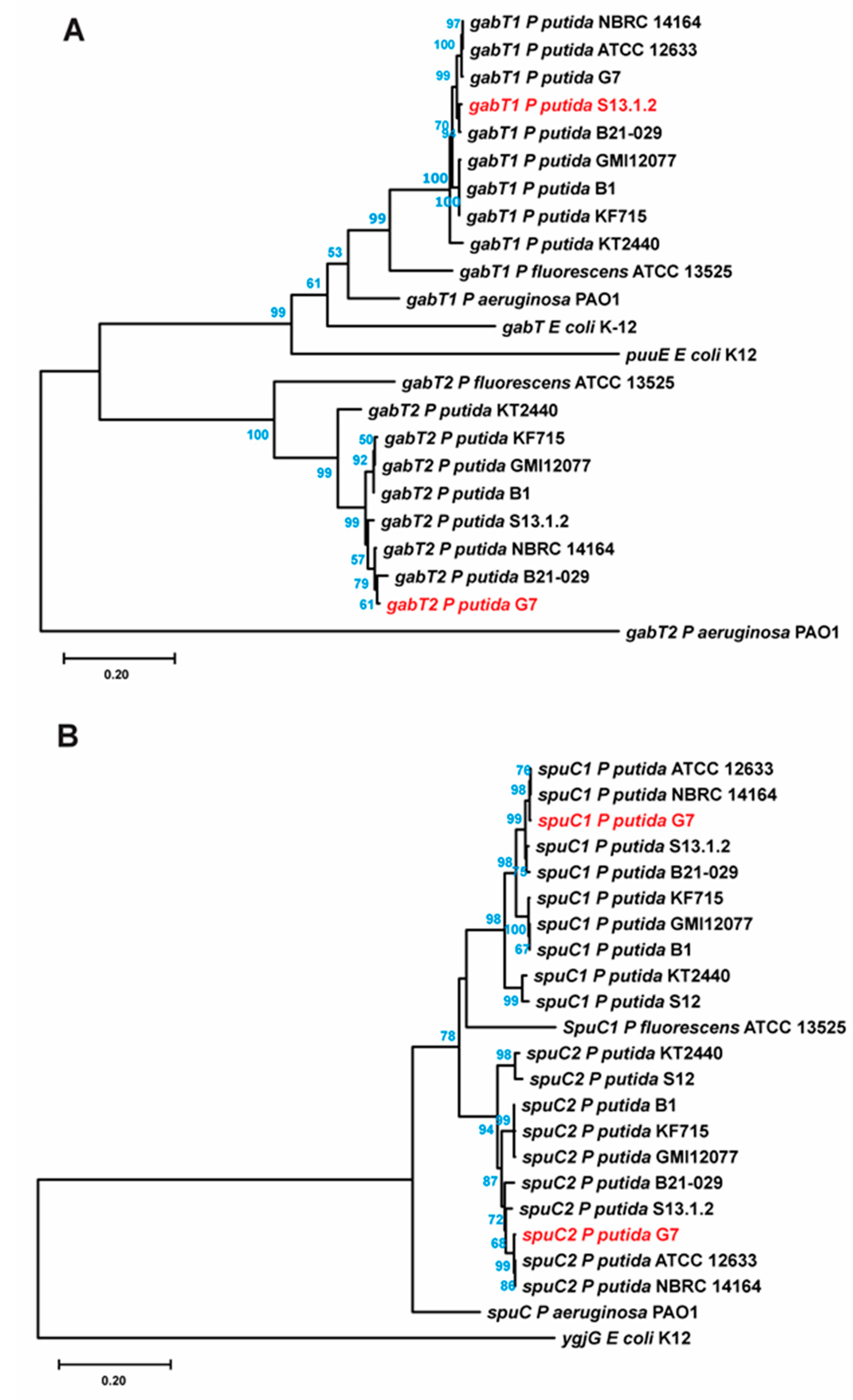 Genes 14 01897 g003
