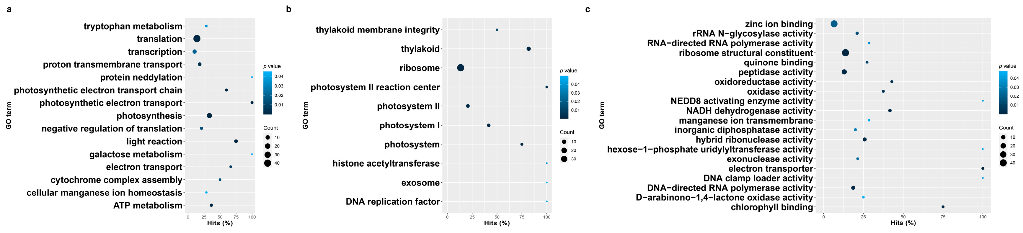 Genes 14 01905 g007 Genes 14 01905 g007