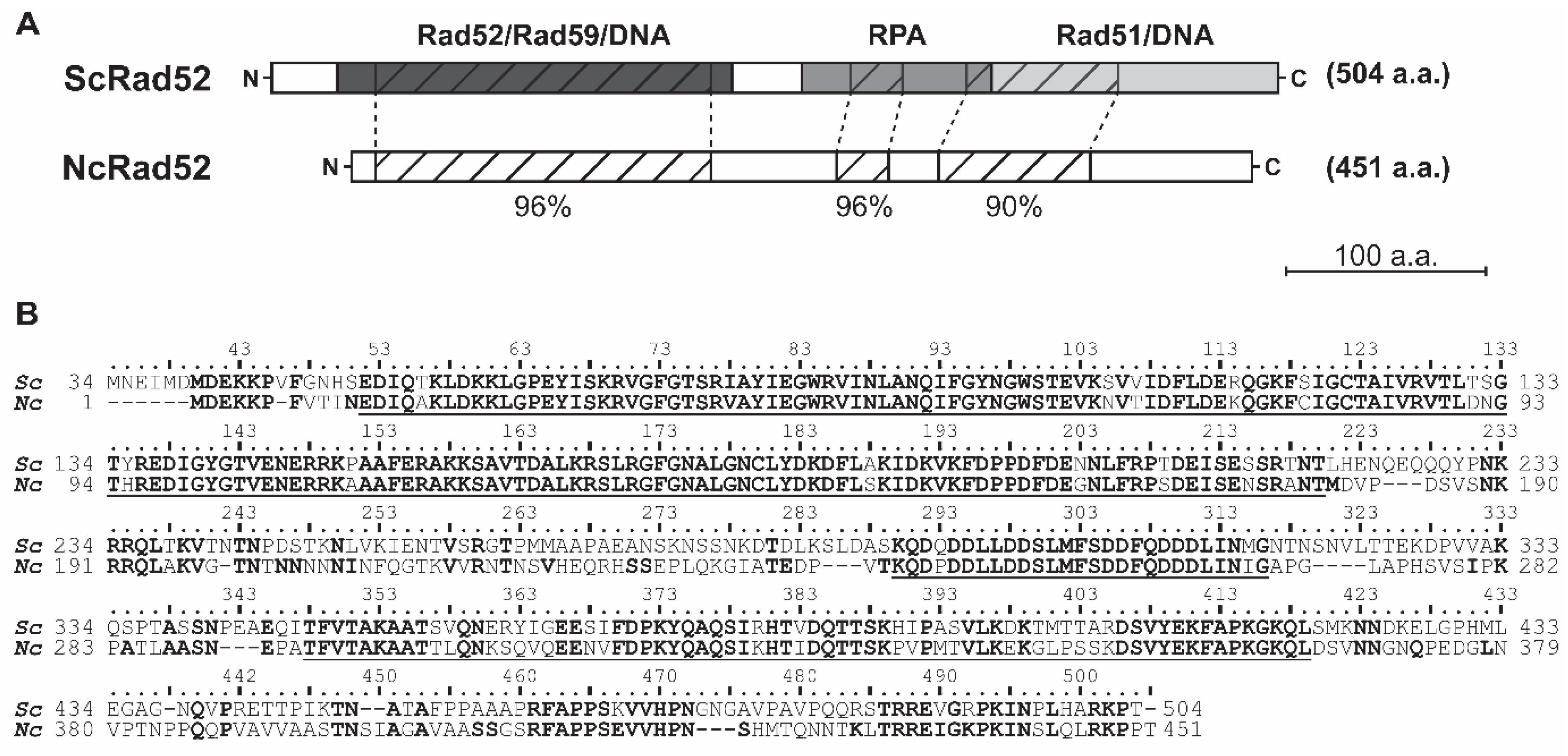 Genes 14 01908 g002 Genes 14 01908 g002
