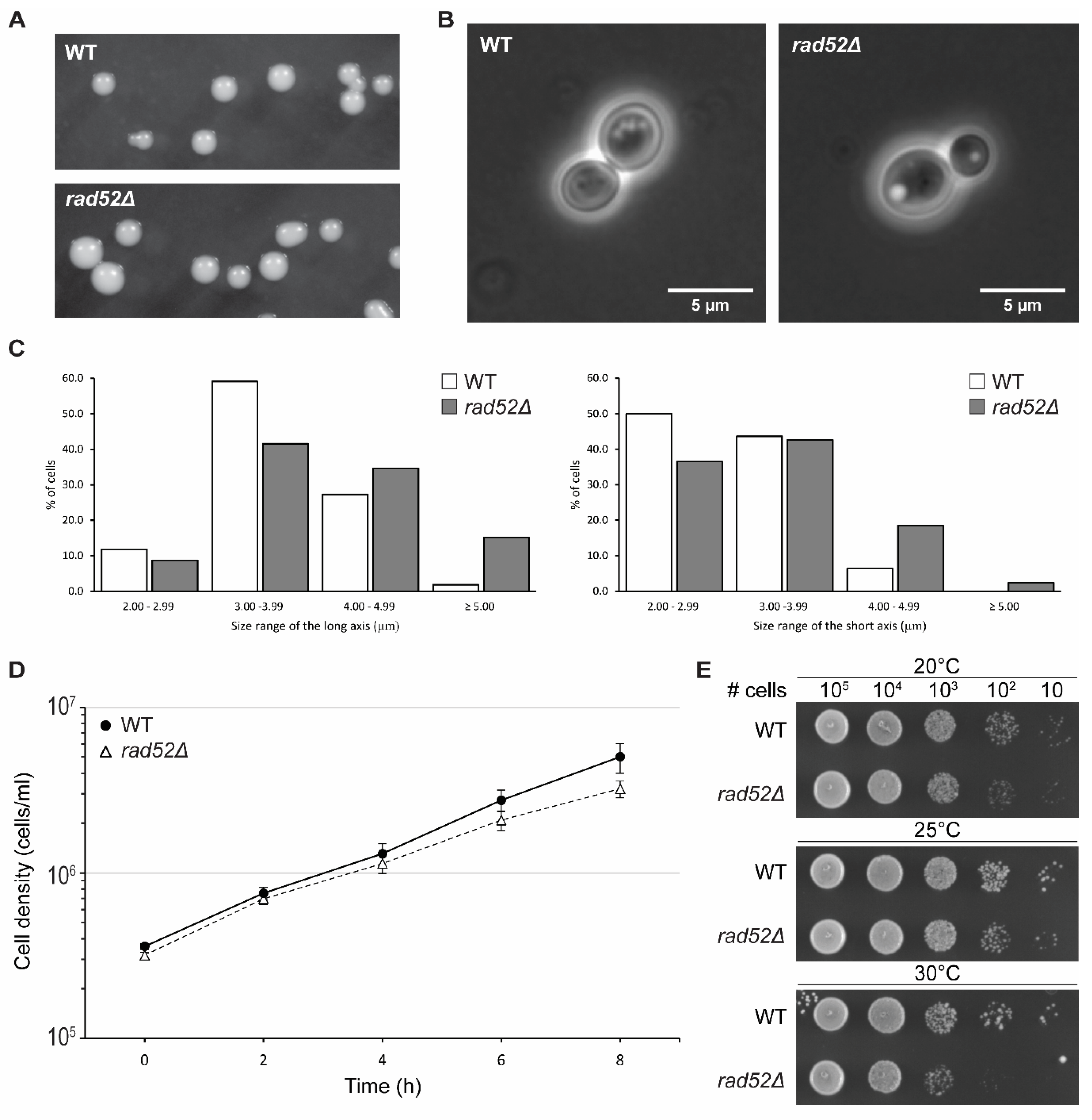 Genes 14 01908 g004 Genes 14 01908 g004