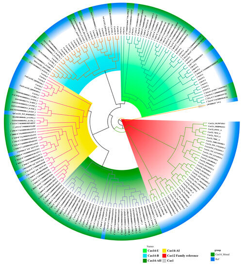 PDF) Comparative Analysis of Bacterial and Archaeal Community