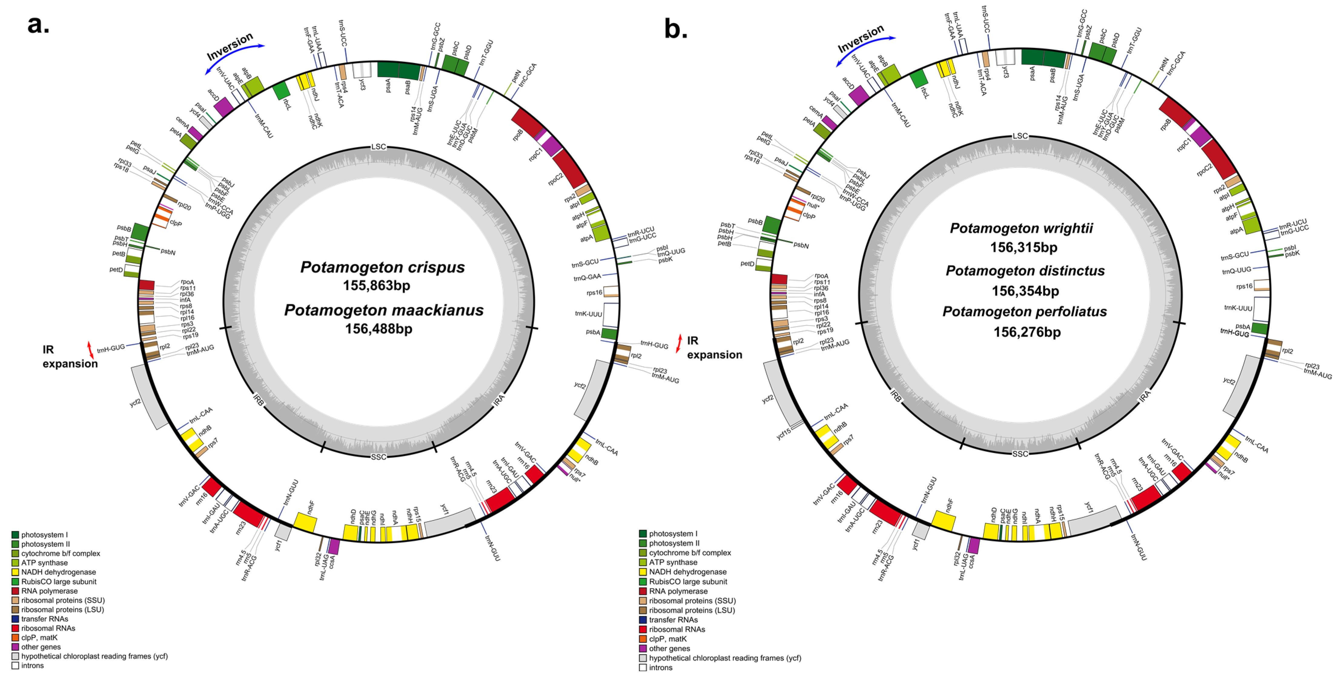 Genes 14 01914 g001