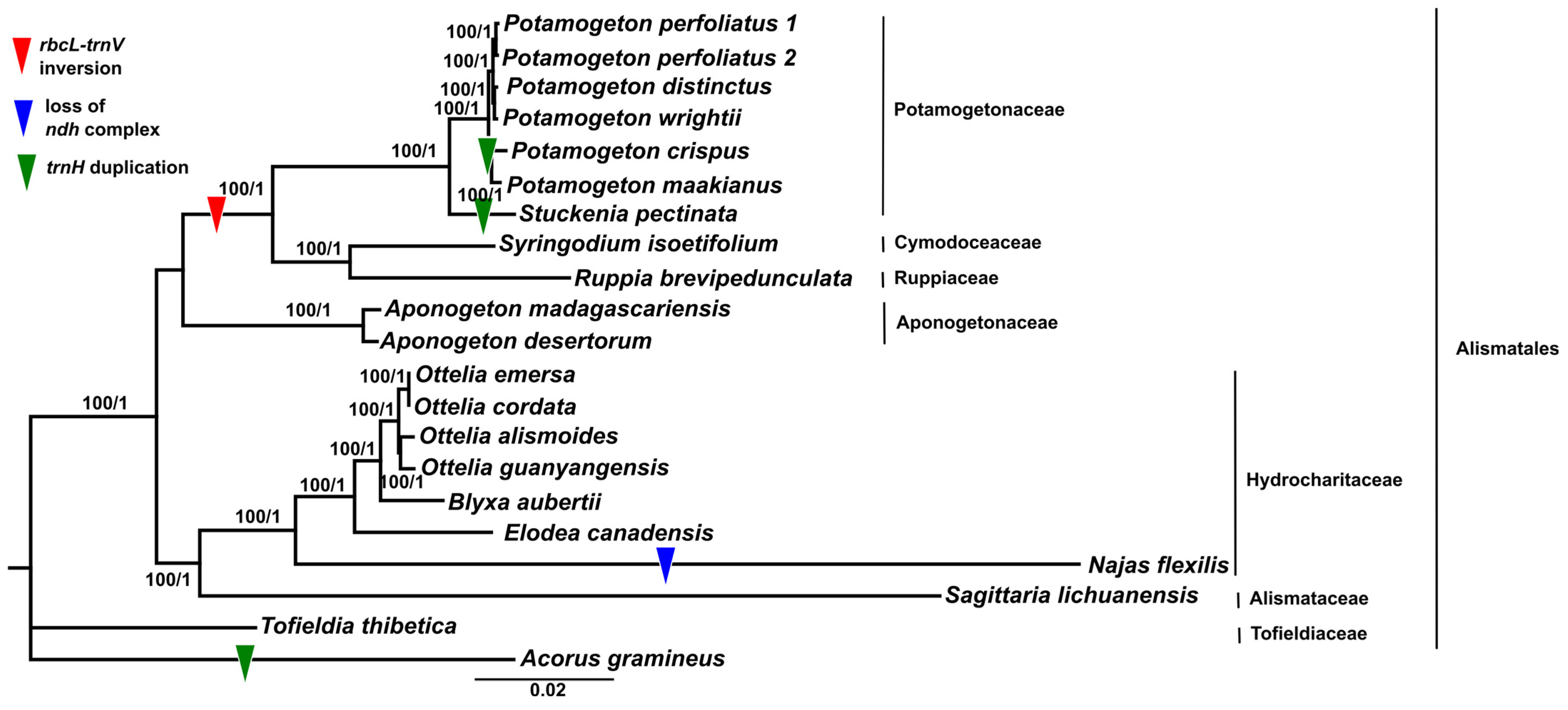 Genes 14 01914 g006