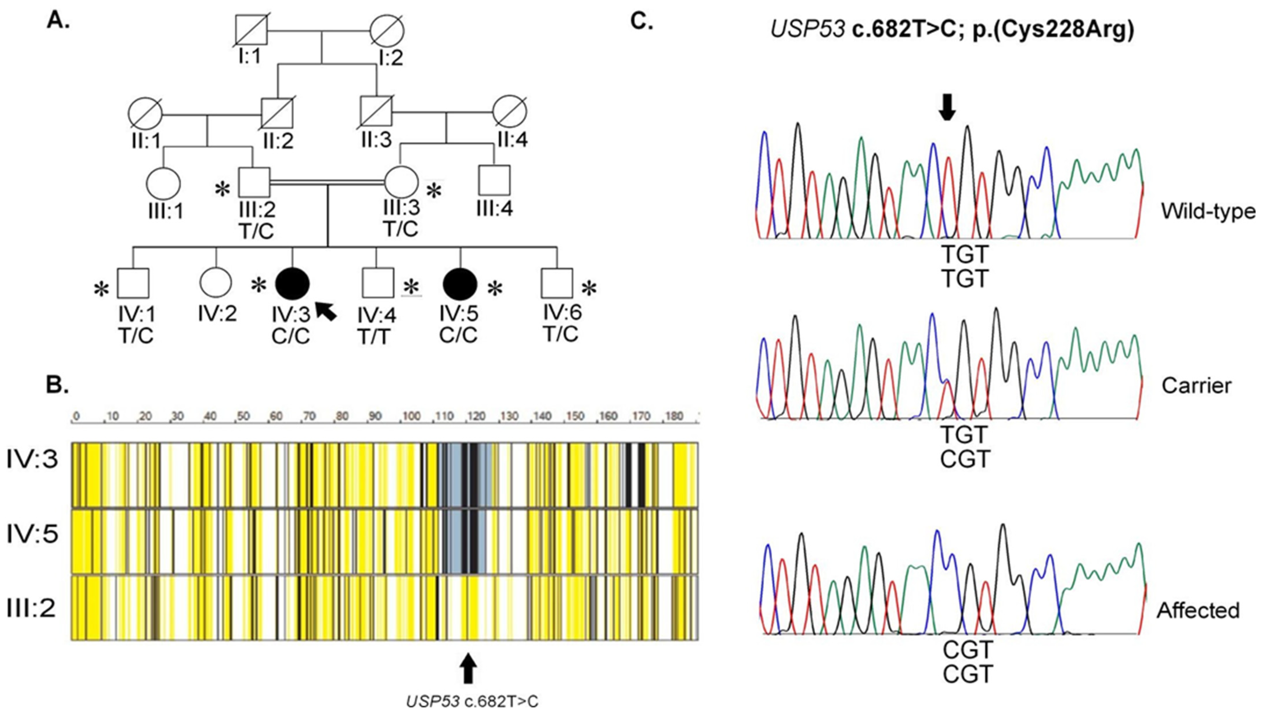 Genes 14 01921 g001