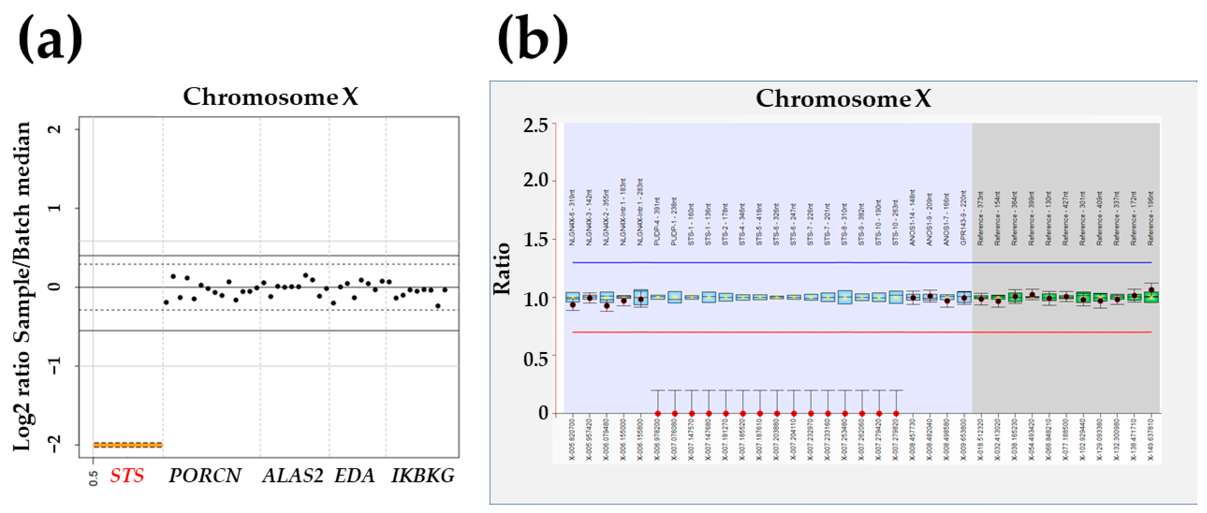 Genes 14 01925 g002 Genes 14 01925 g002