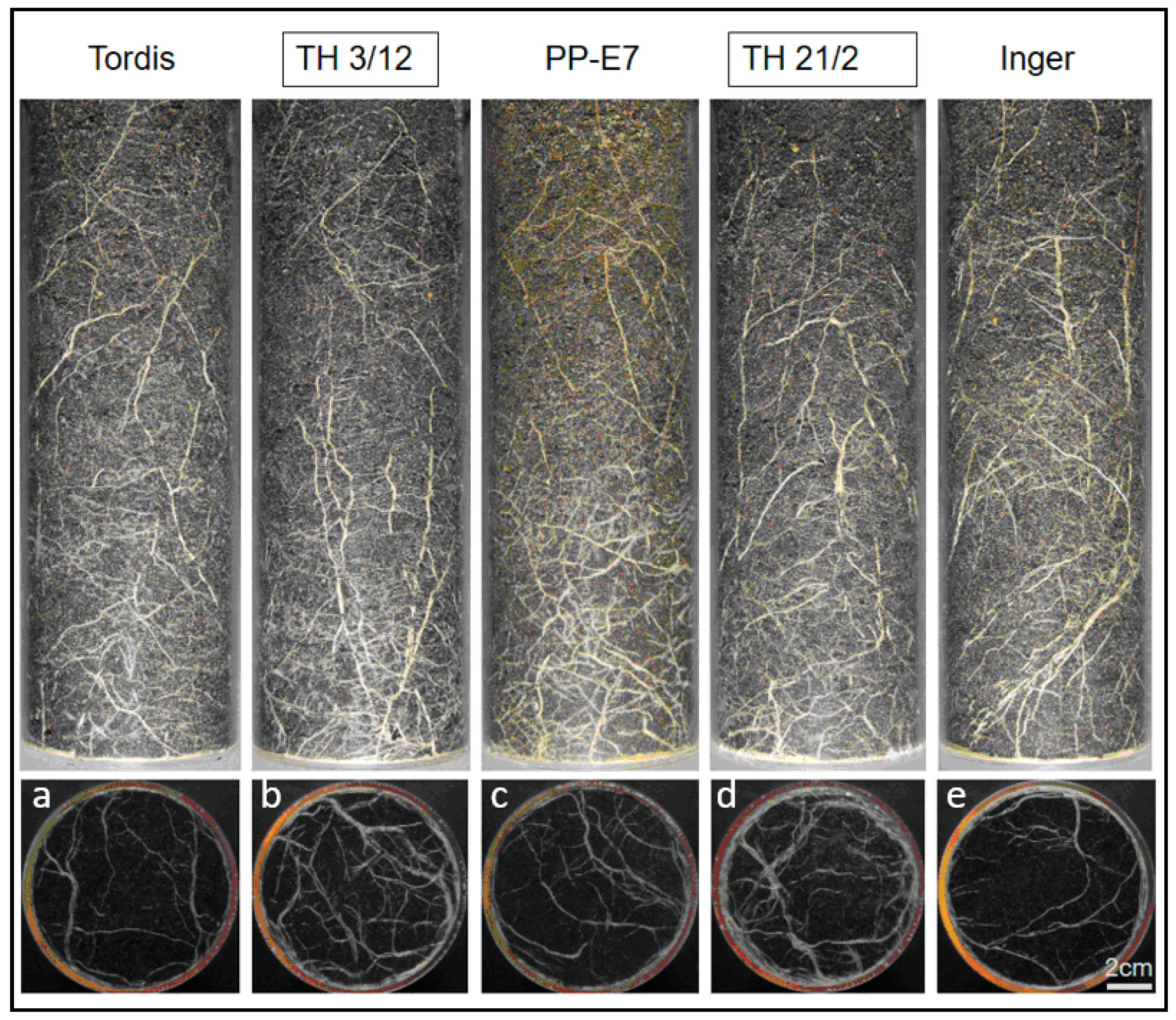 Genes 14 01929 g002 Genes 14 01929 g002