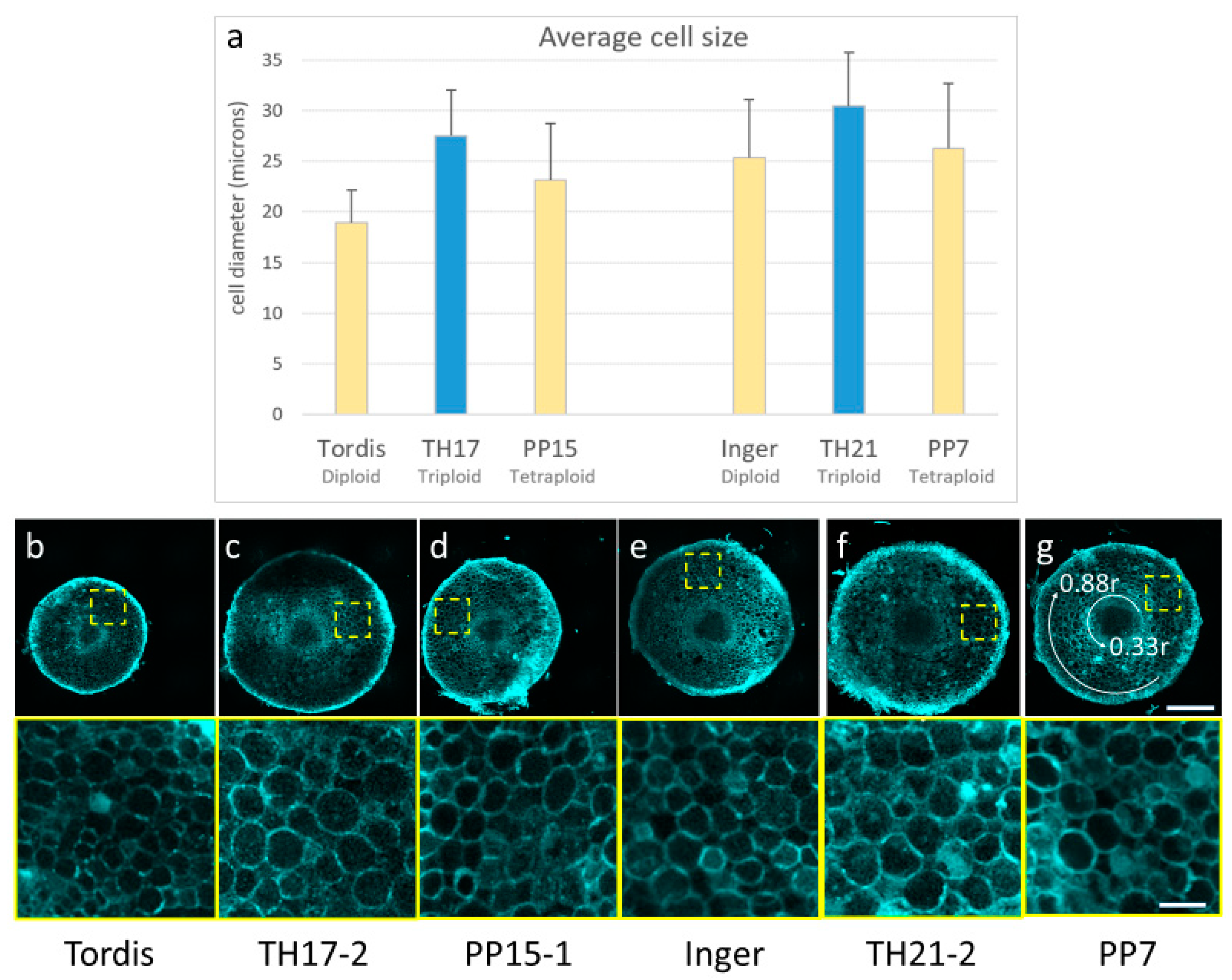 Genes 14 01929 g004 Genes 14 01929 g004