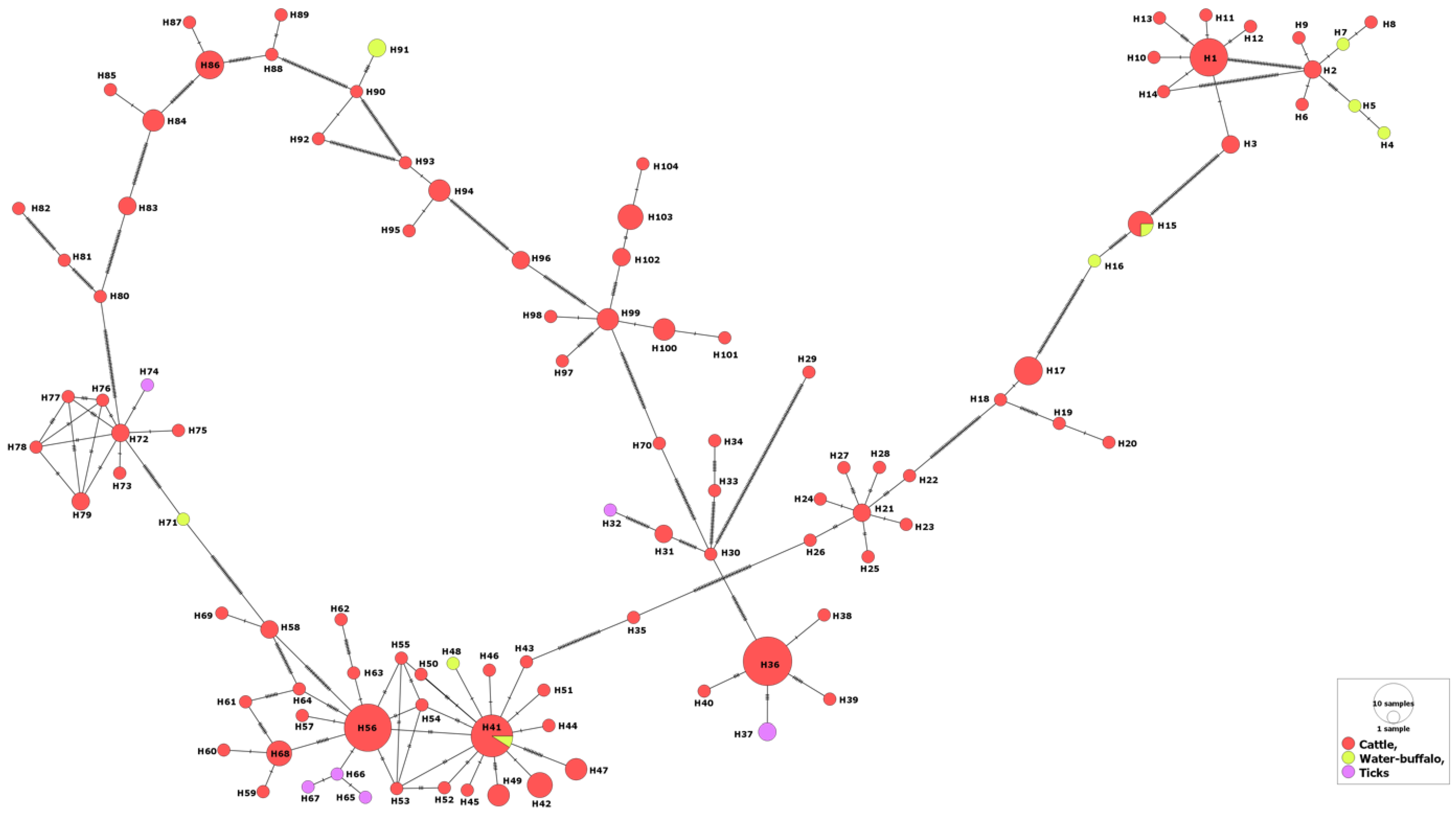Genes 14 01936 g002 Genes 14 01936 g002