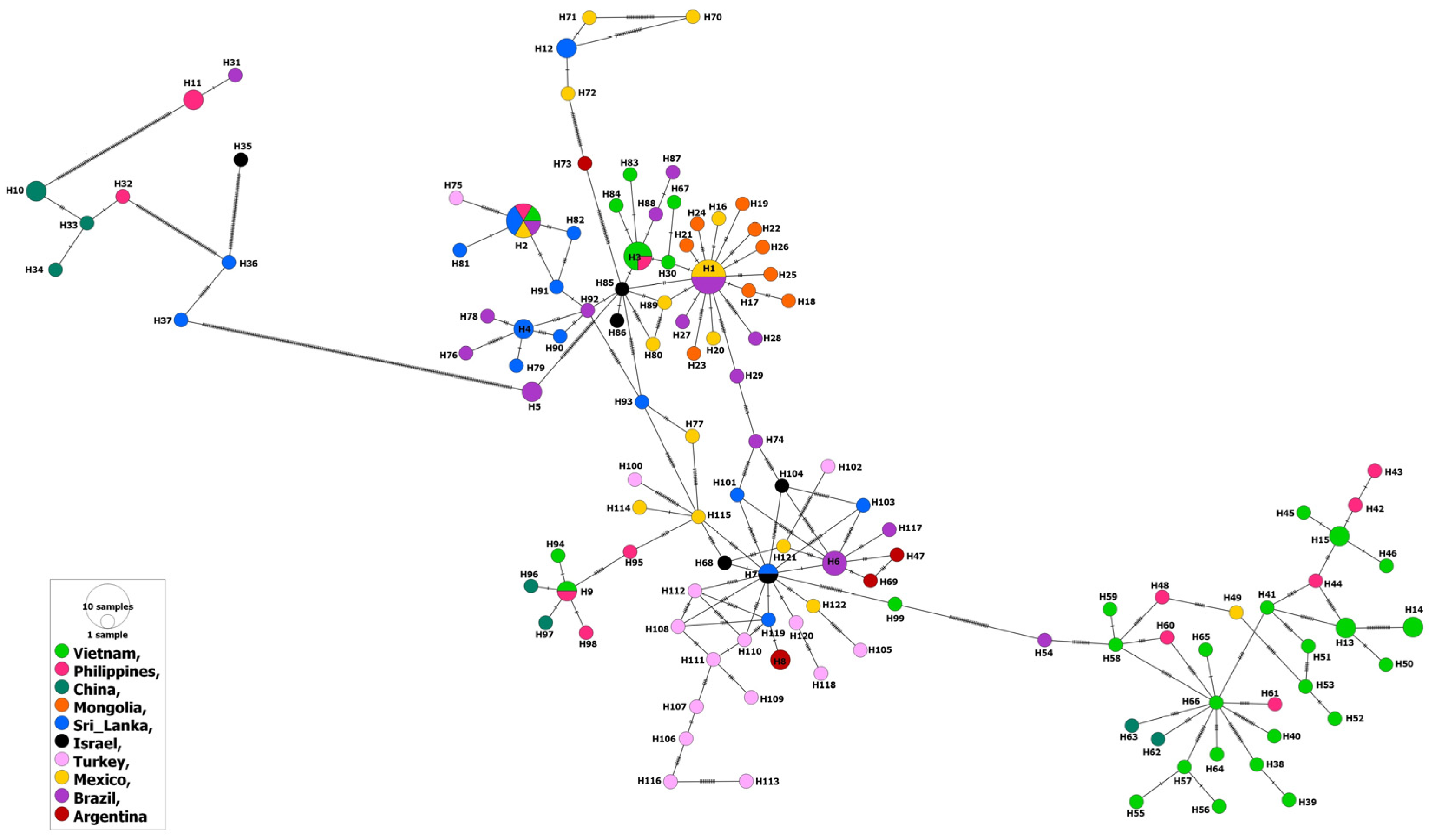 Genes 14 01936 g004 Genes 14 01936 g004