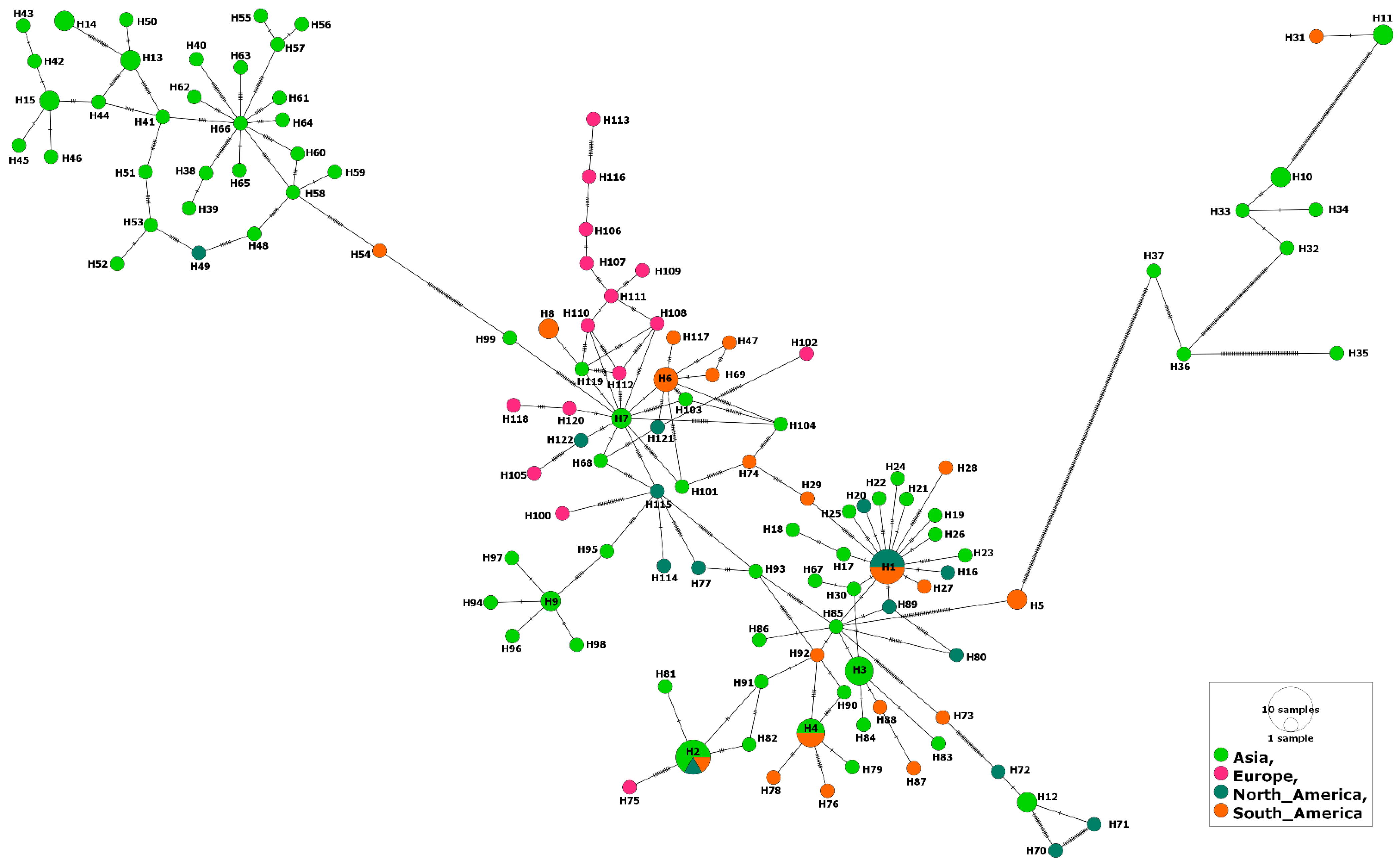 Genes 14 01936 g005 Genes 14 01936 g005