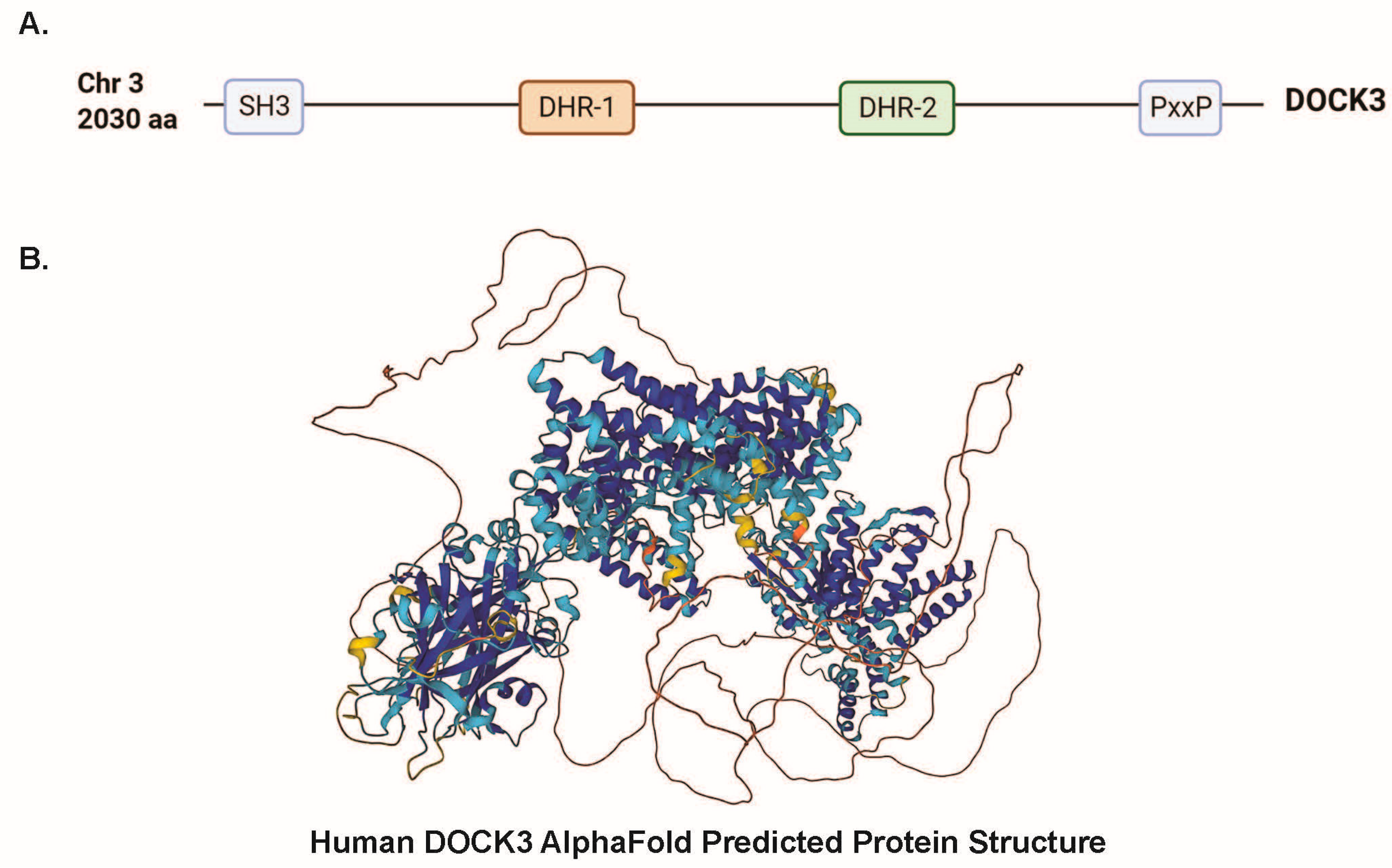 Genes 14 01940 g001 Genes 14 01940 g001