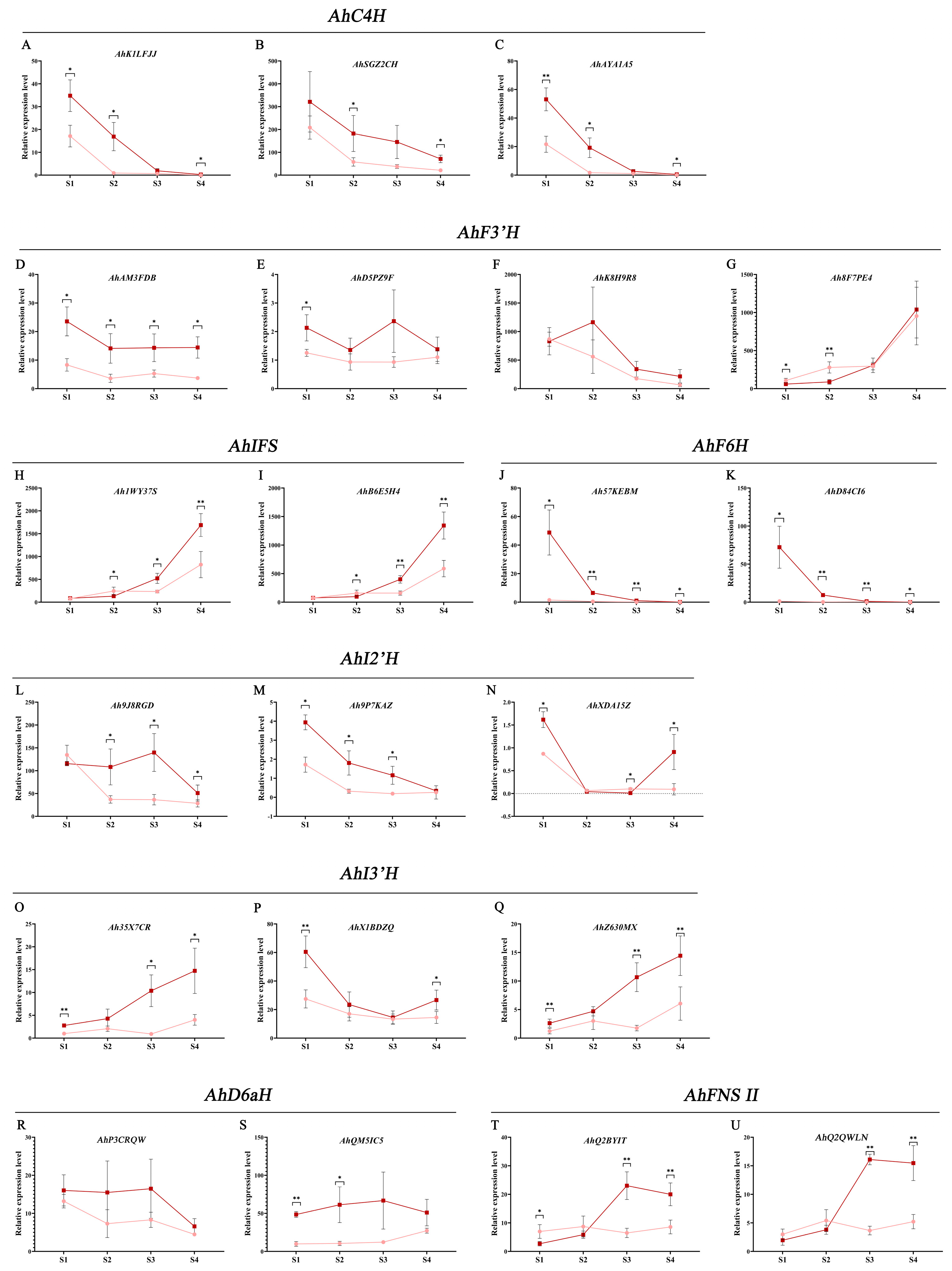 Genes 14 01944 g009