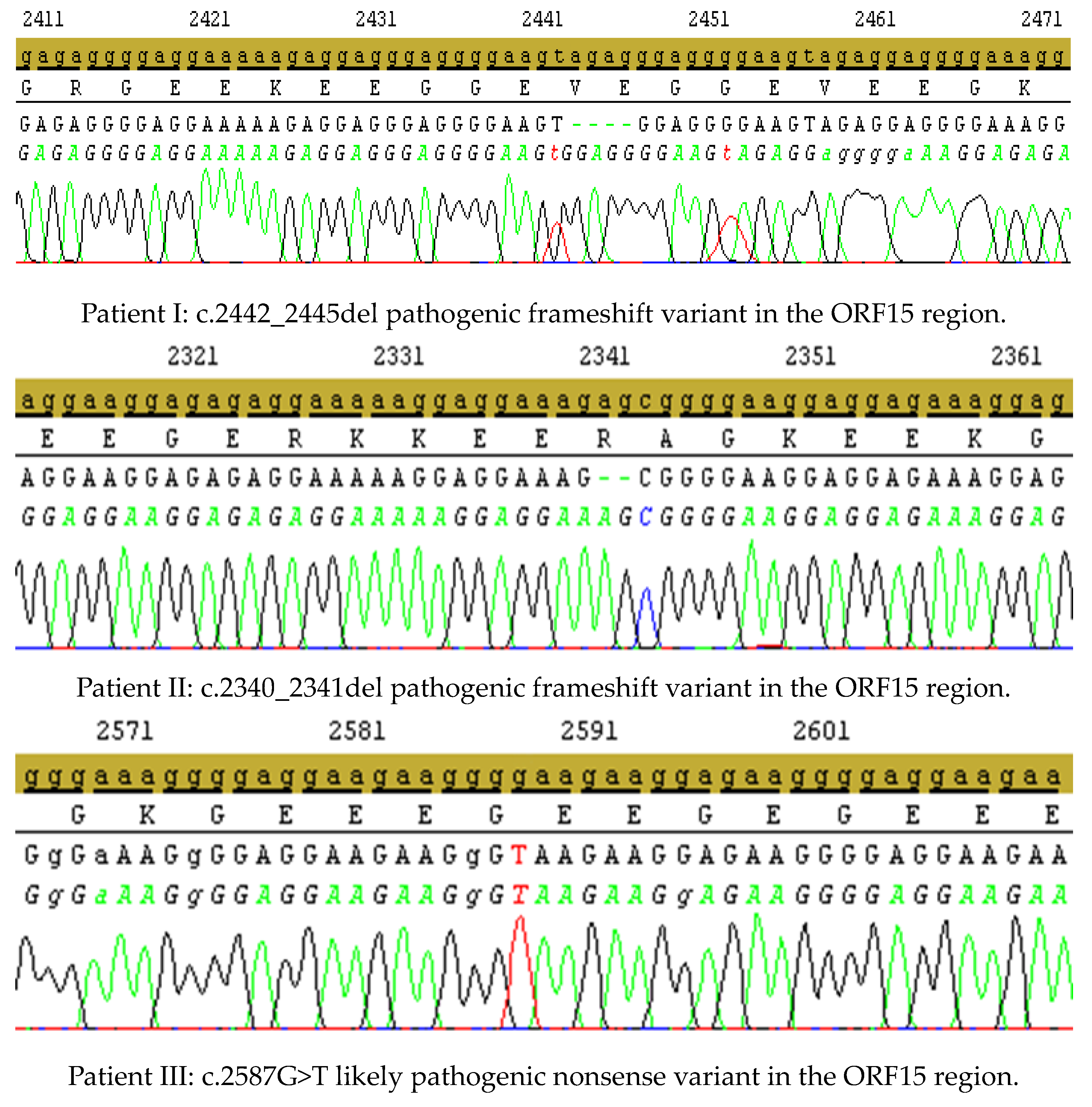 Genes 14 01950 g001a