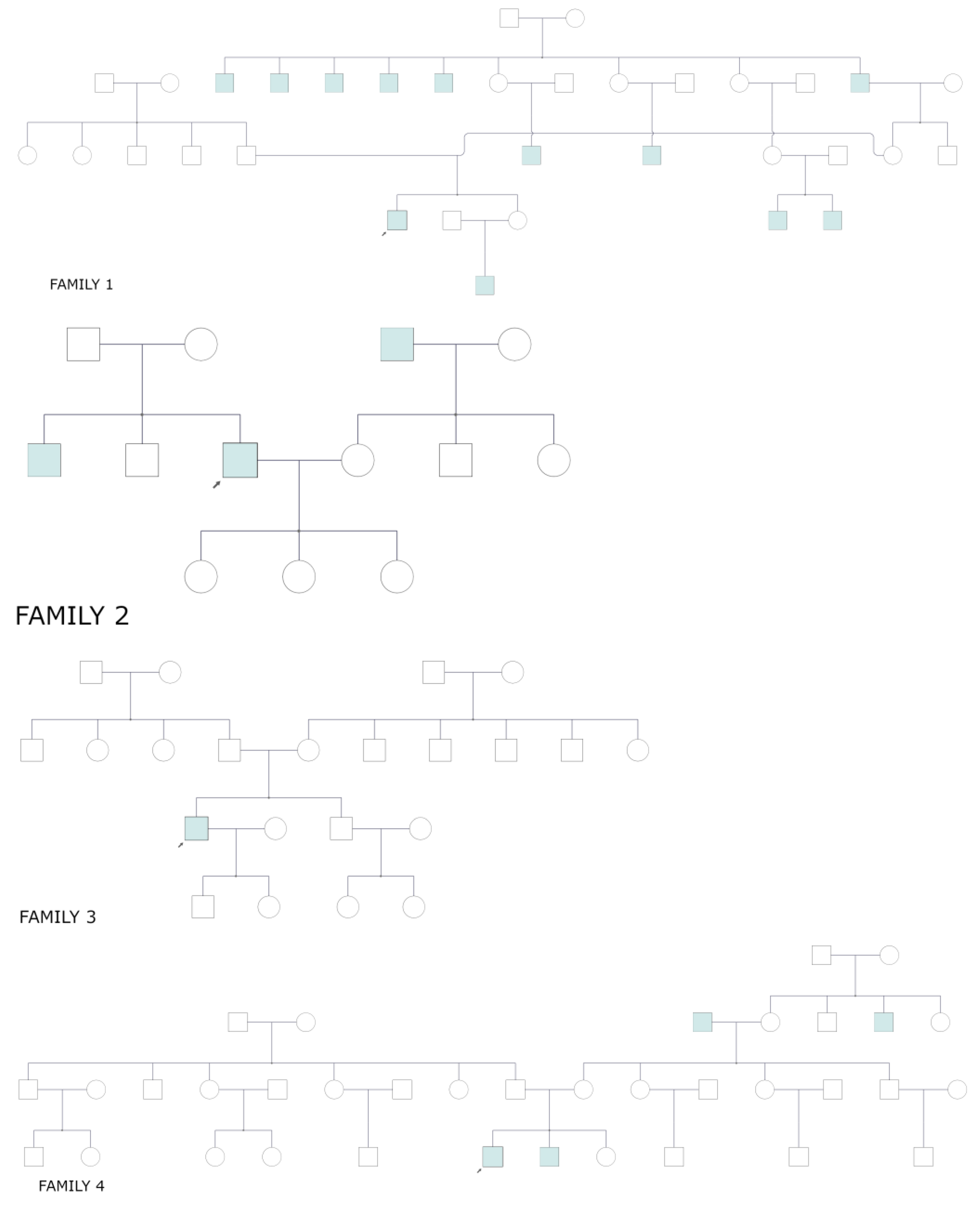 Genes 14 01950 g002a