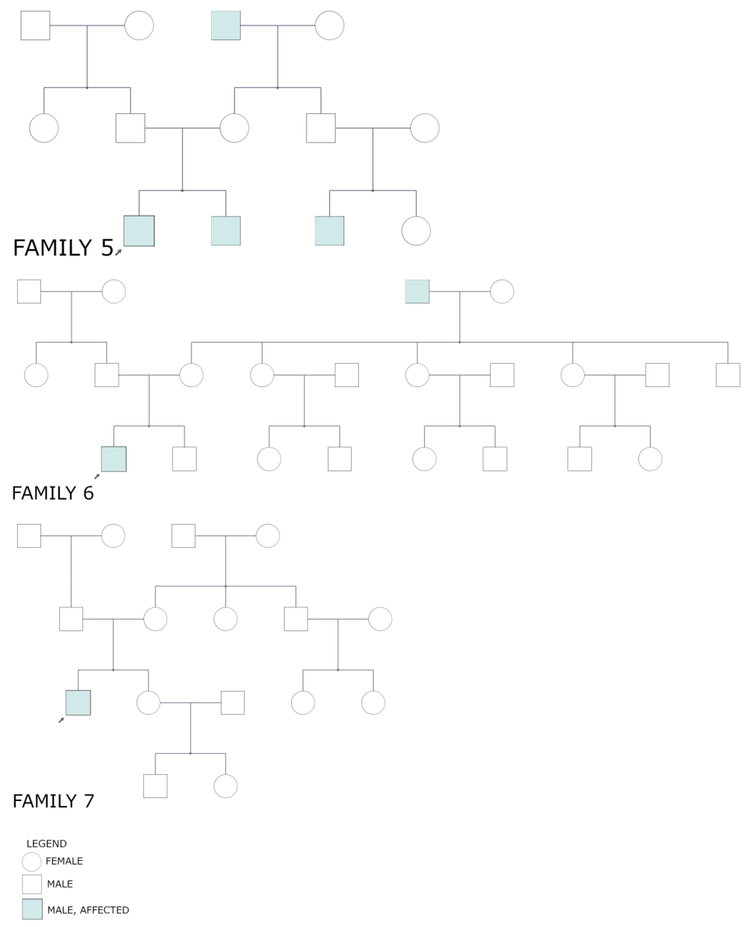 Genes 14 01950 g002b