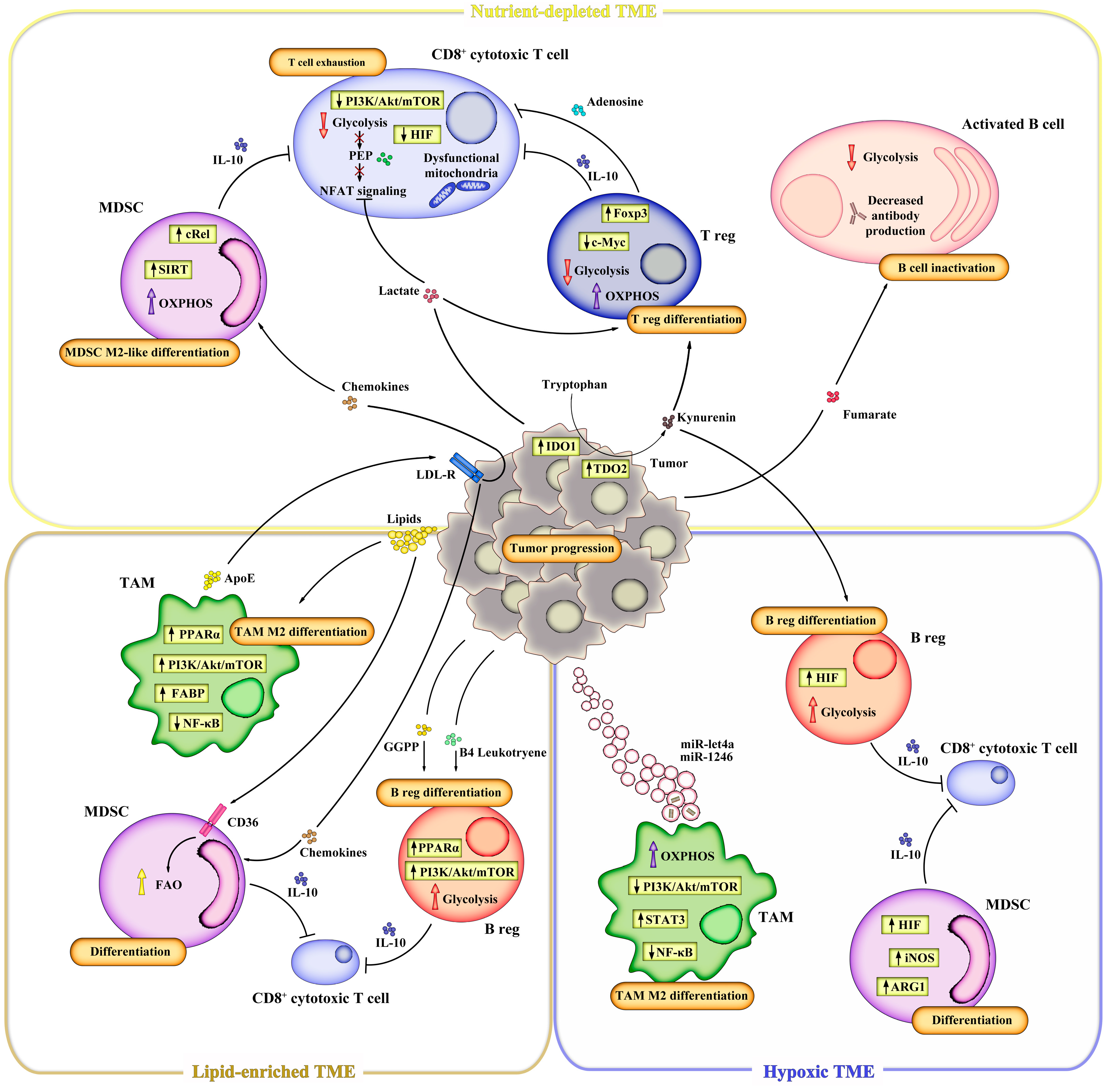 Knock Cancer Out of the Park! - Esophageal Cancer Action Network