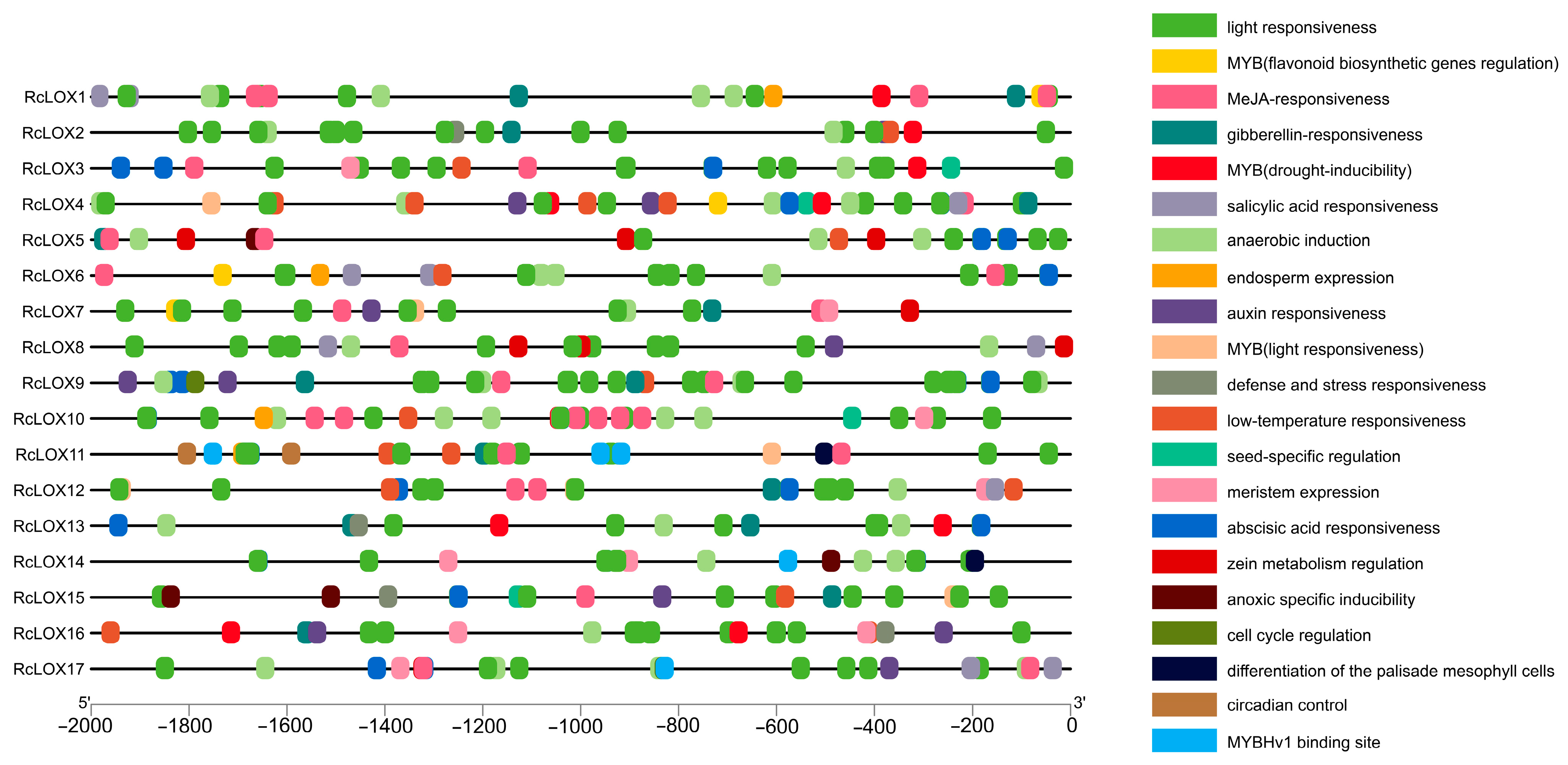 Genes 14 01957 g005