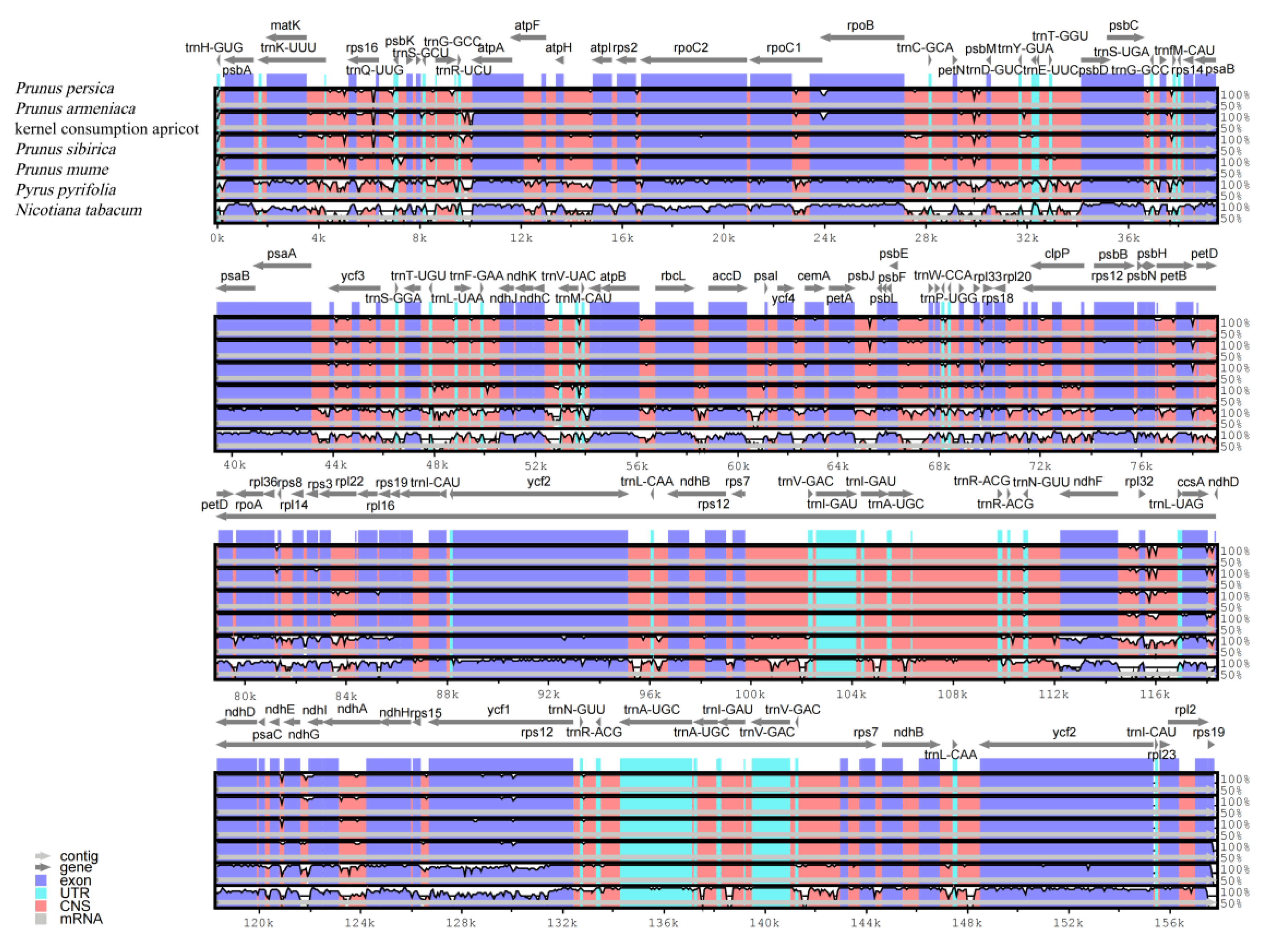Genes 14 01959 g004
