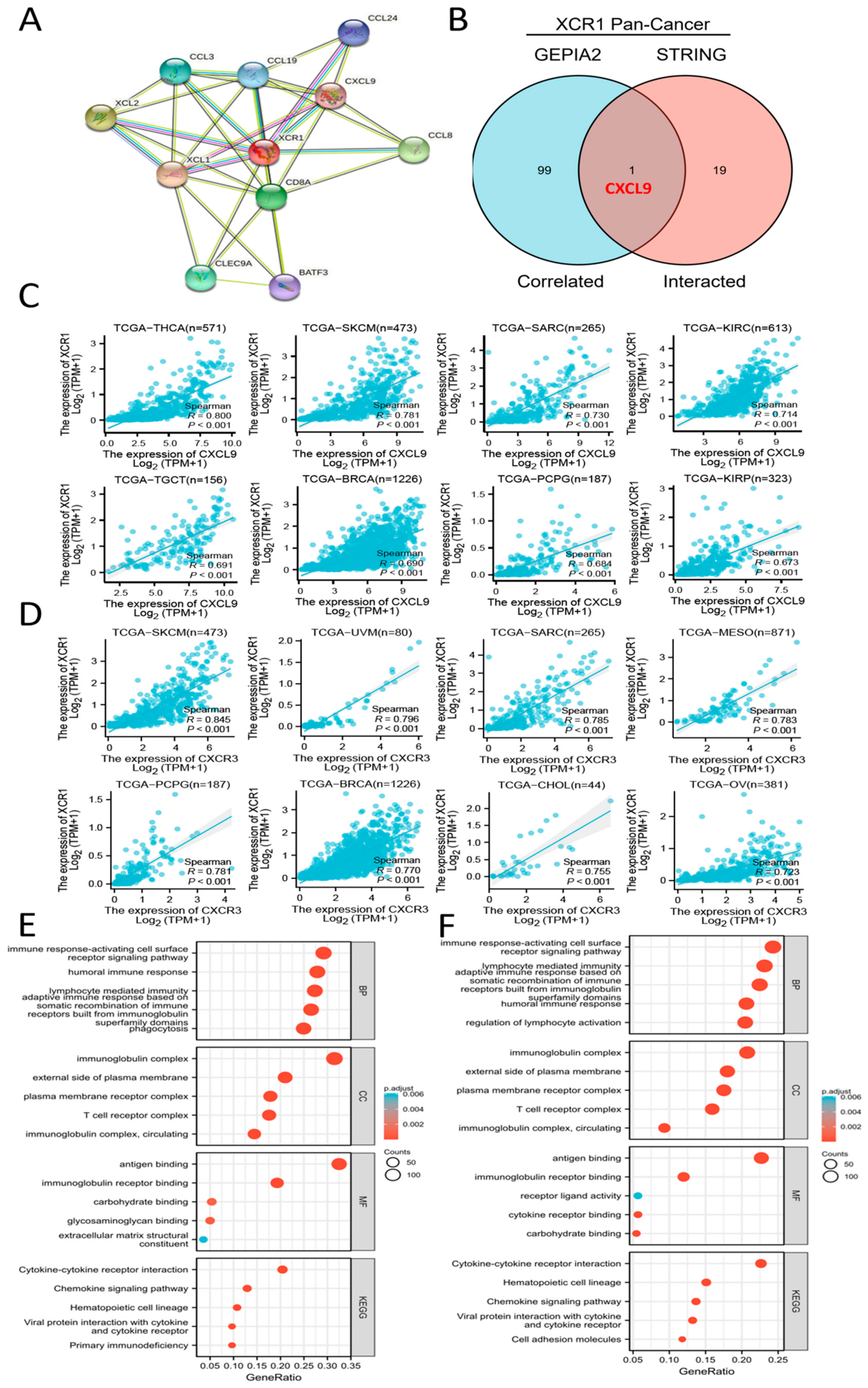 Genes 14 01961 g005