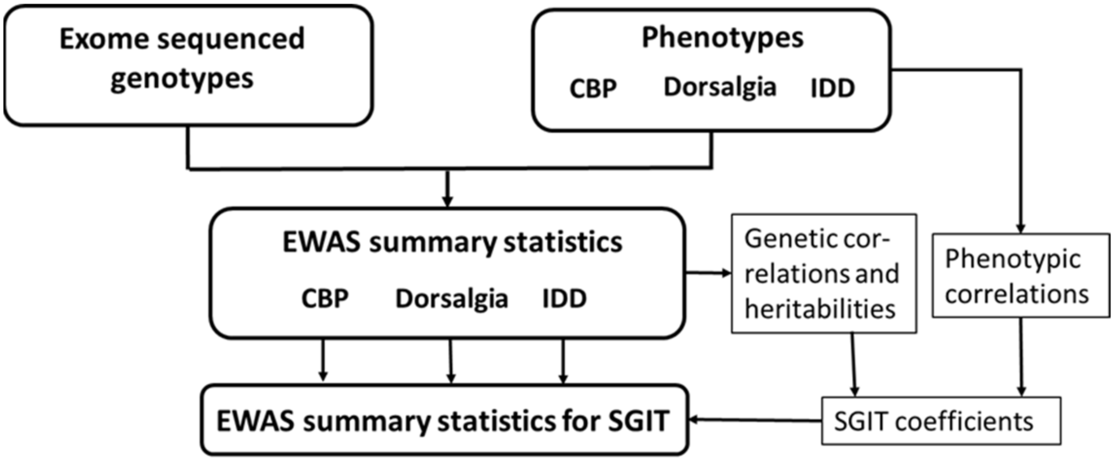Genes 14 01962 sch001