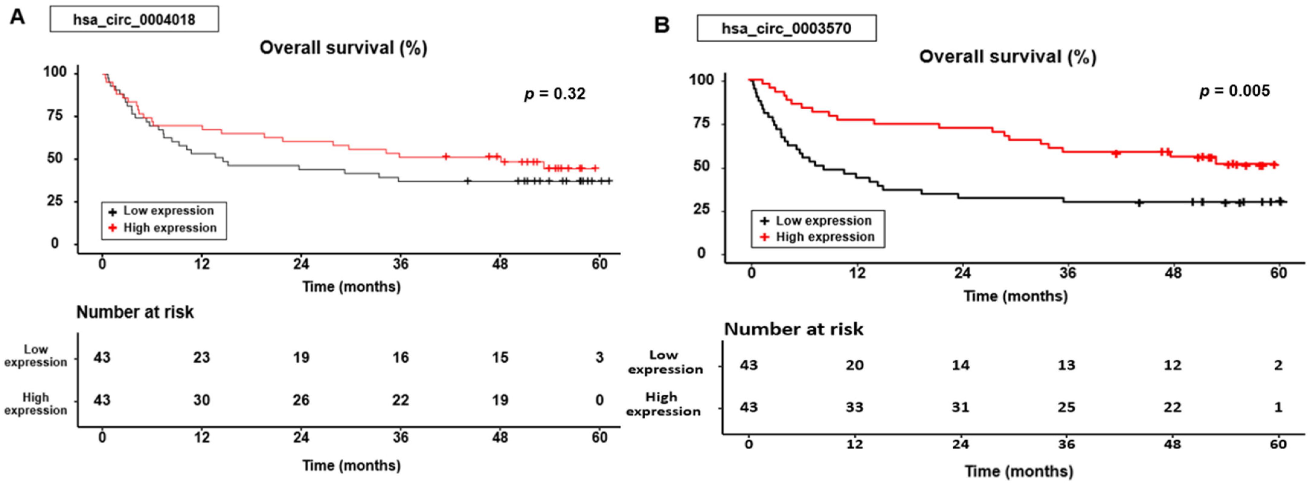 Genes 14 01963 g002
