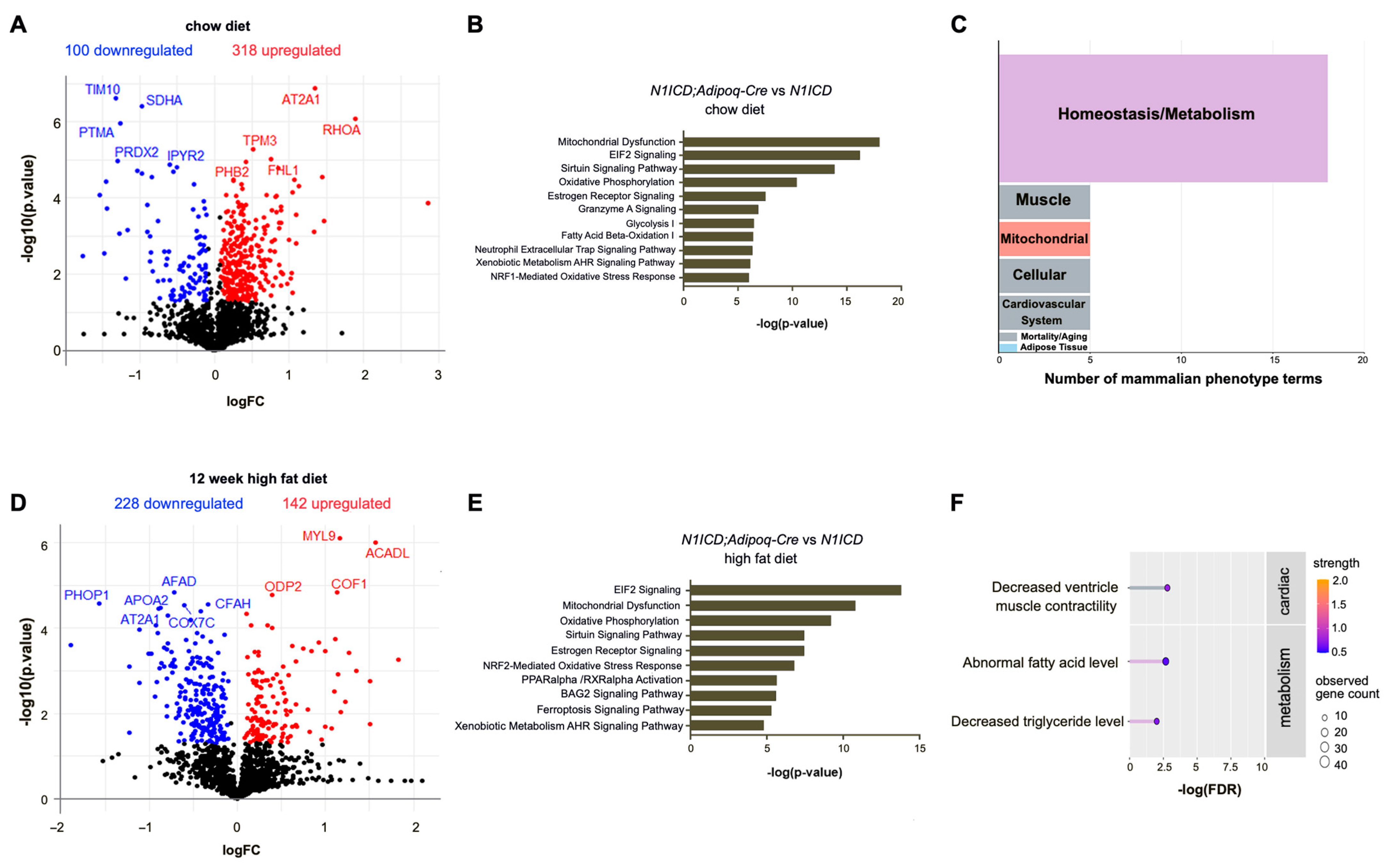 Genes 14 01964 g001