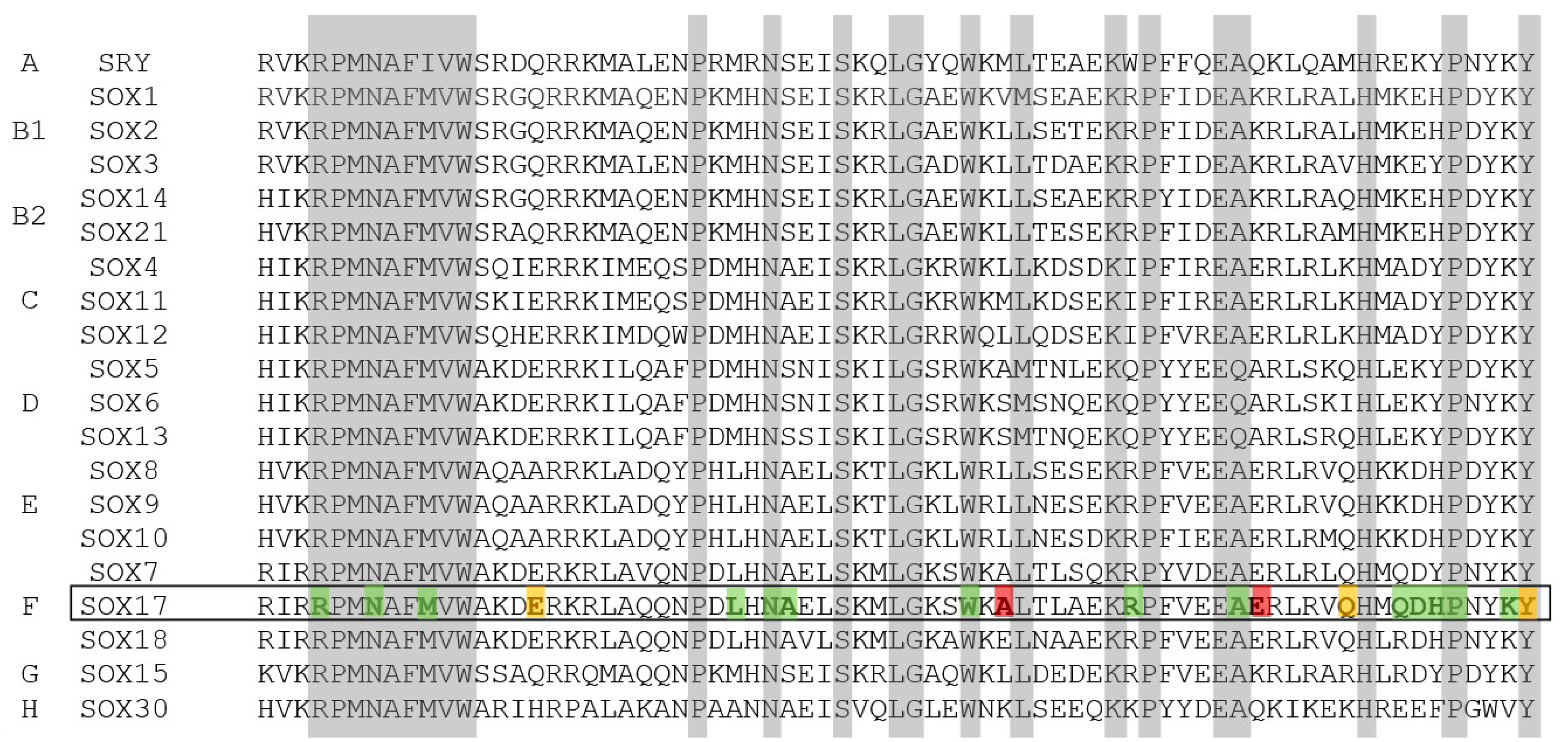 Genes 14 01965 g006