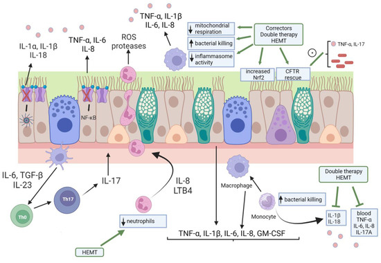 Lung Inflammatory Genes in Cystic Fibrosis and Their Relevance to ...