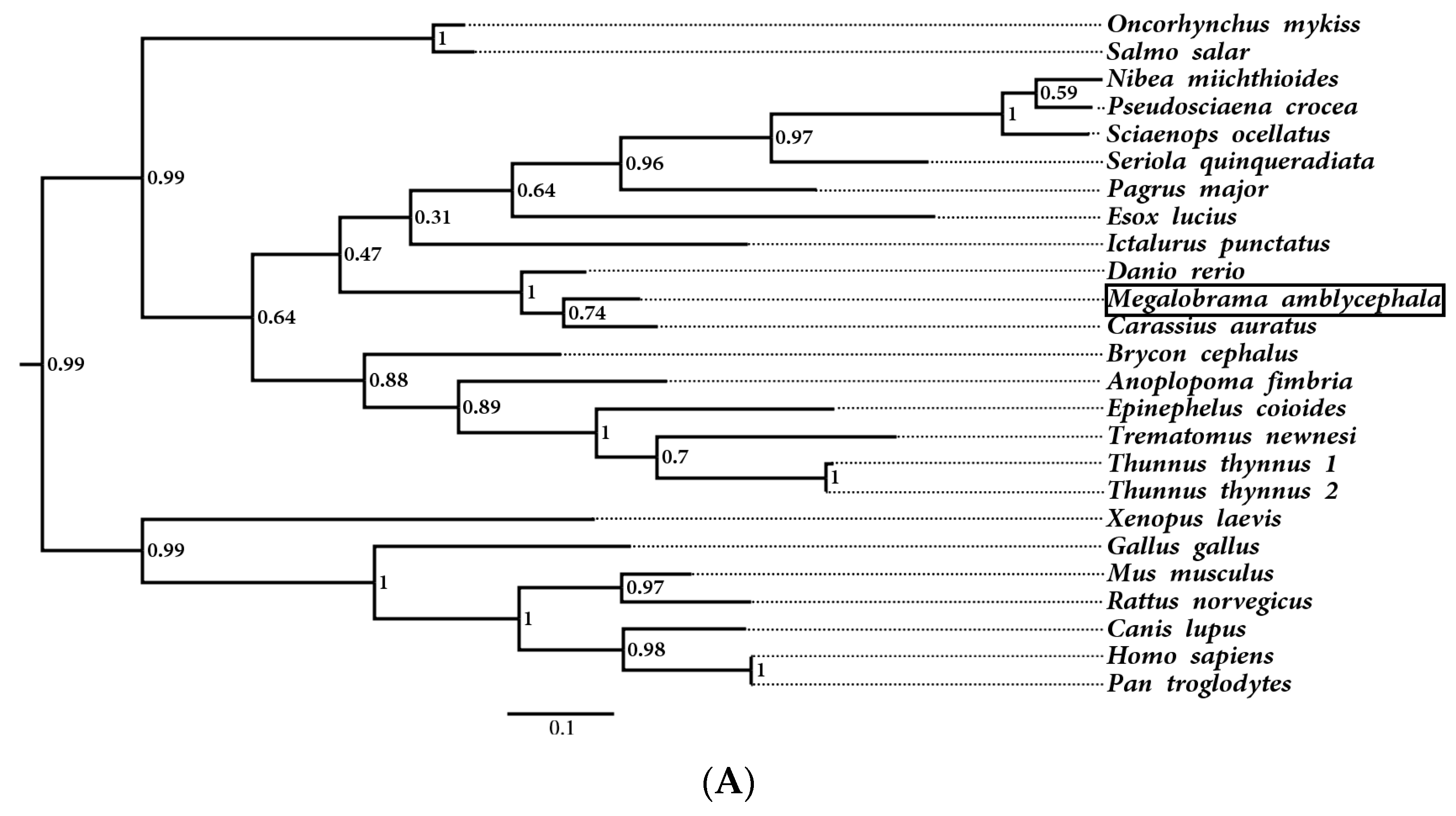 Genes 14 01972 g003a