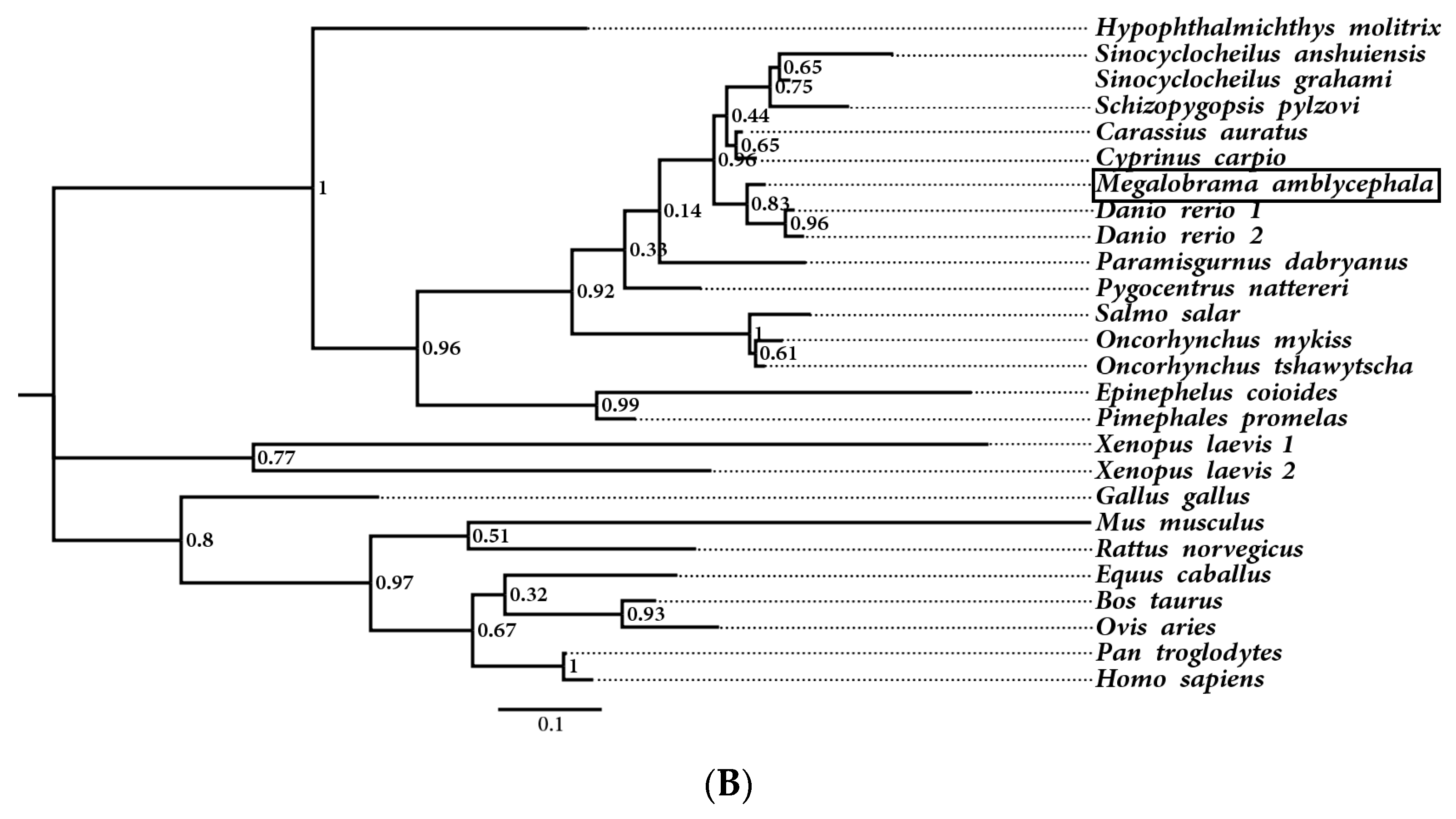 Genes 14 01972 g003b