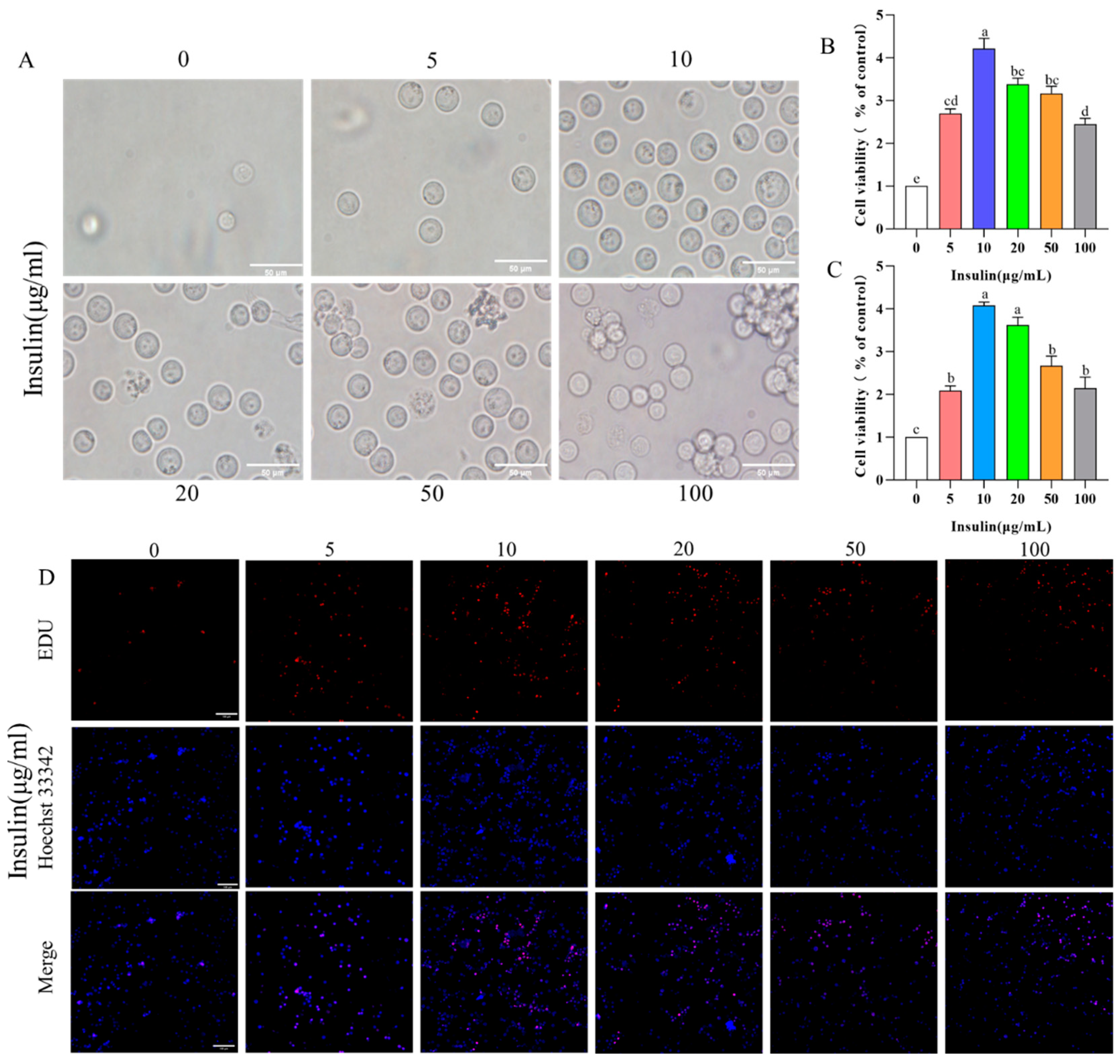 Genes 14 01975 g002 Genes 14 01975 g002