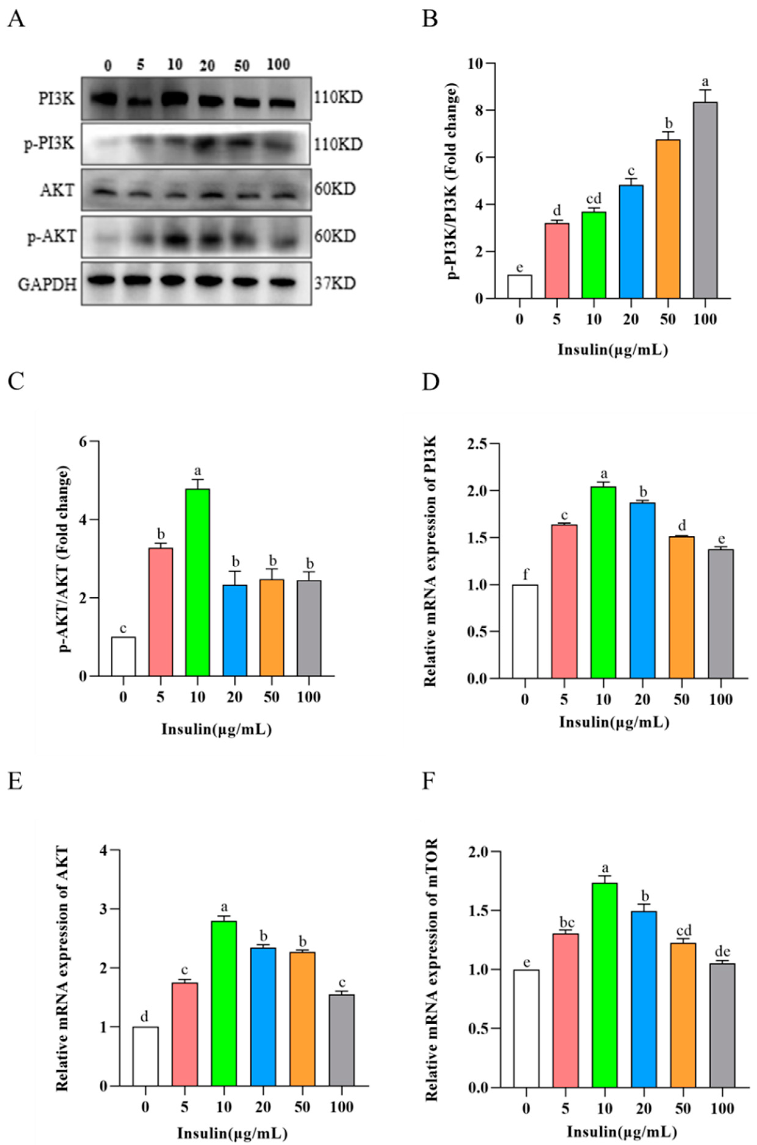 Genes 14 01975 g007 Genes 14 01975 g007