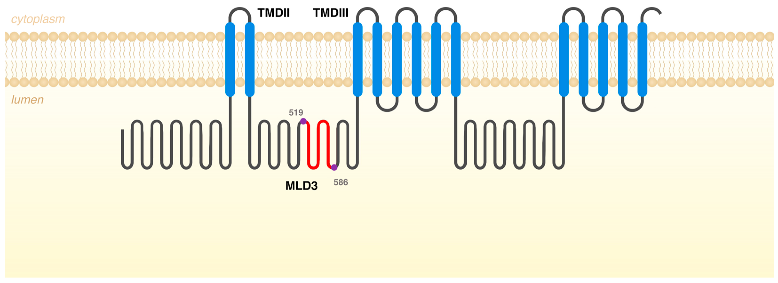 At a glance: the largest Niemann-Pick type C1 cohort with 602