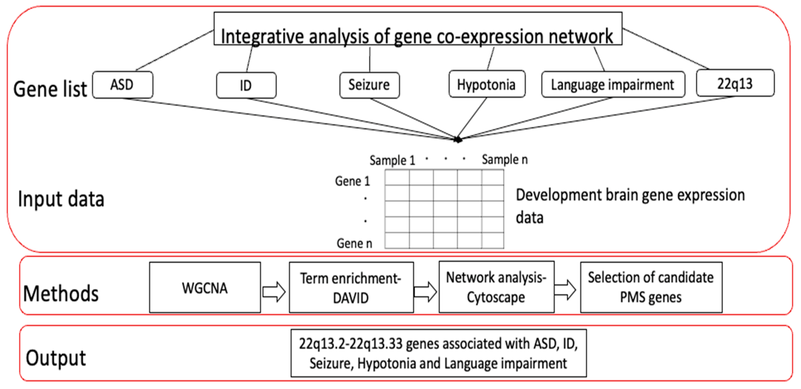 PDF) Rubinstein-Taybi 2 associated to novel EP300 mutations: Deepening the  clinical and genetic spectrum