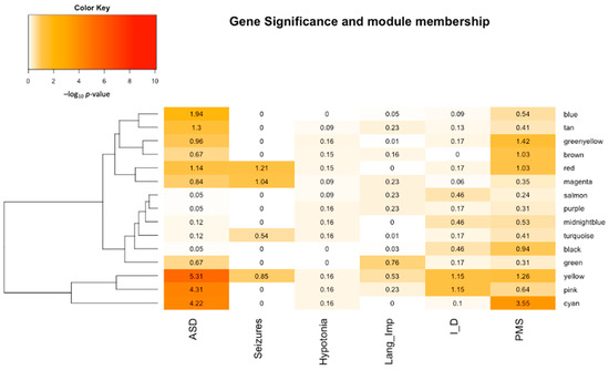 Brain Gene Co-Expression Network Analysis Identifies 22q13