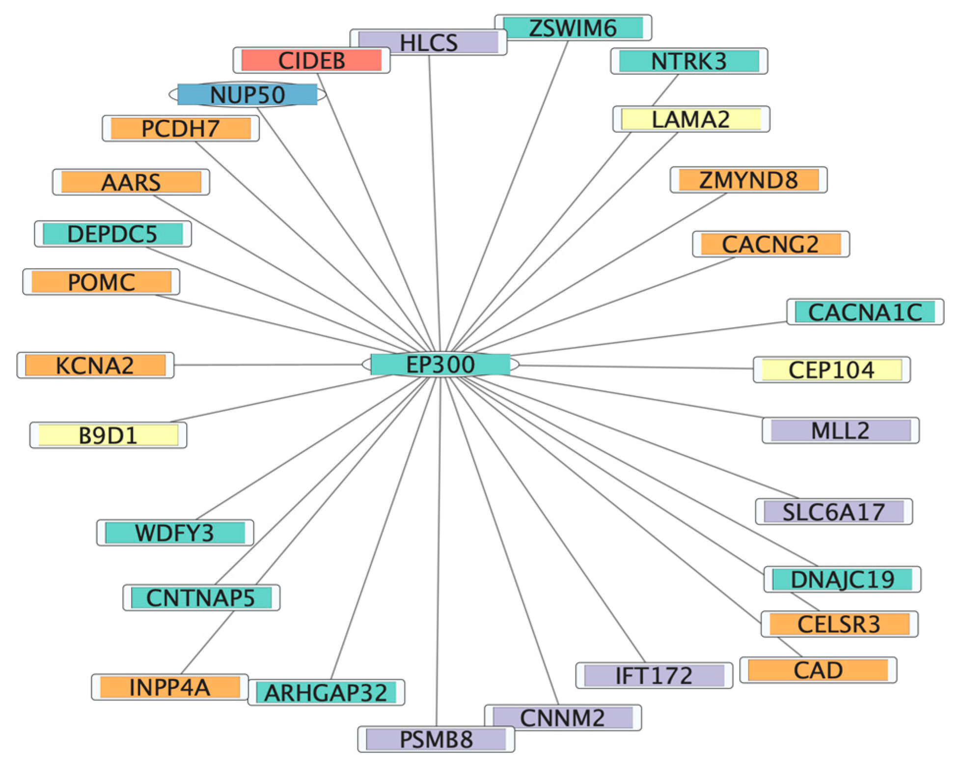 Case report: a Chinese girl like atypical Rubinstein–Taybi syndrome caused  by a novel heterozygous mutation of the EP300 gene, BMC Medical Genomics